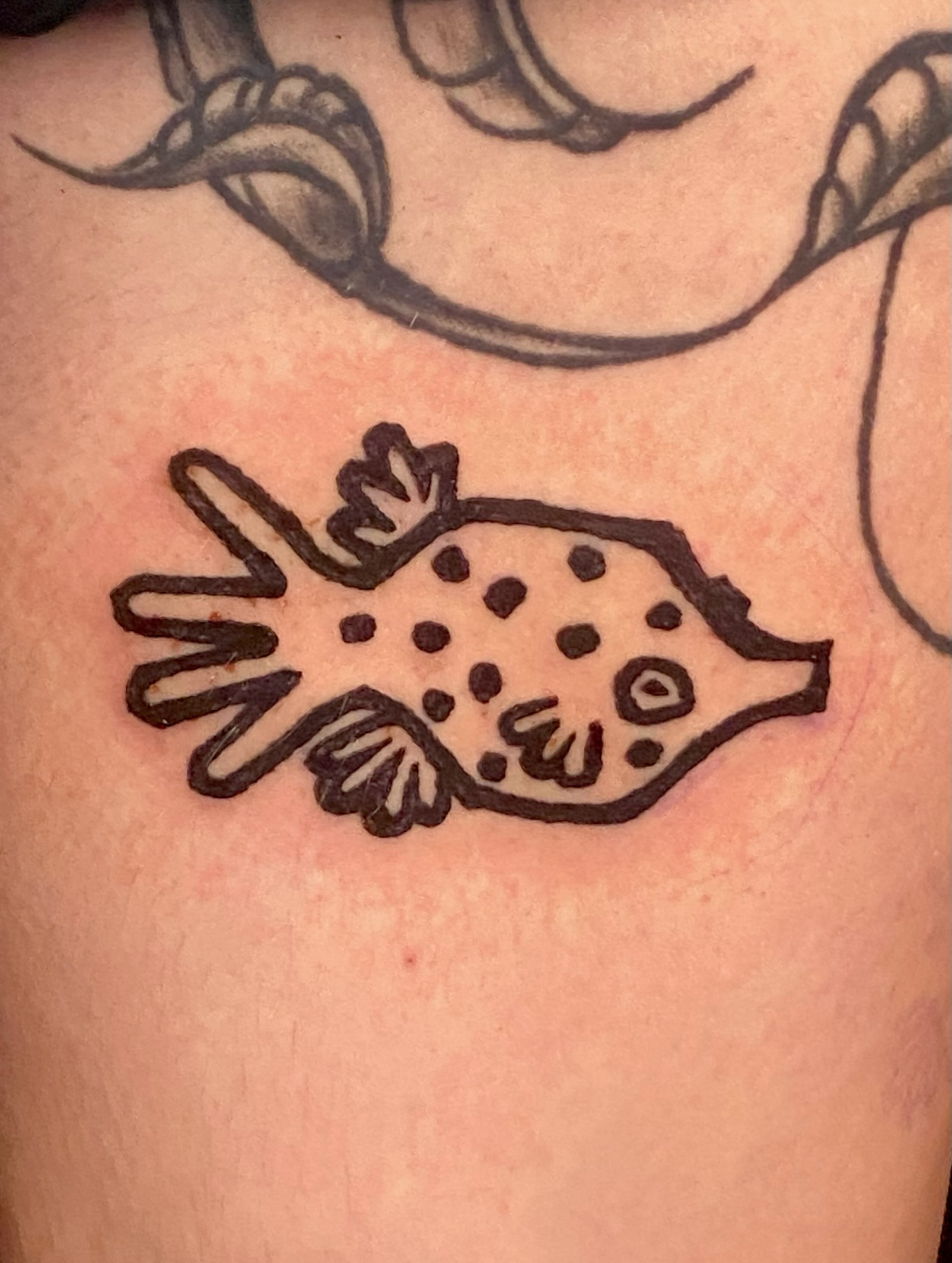 Puffer fish dotwork tattoo by ollie, Portland, Oregon