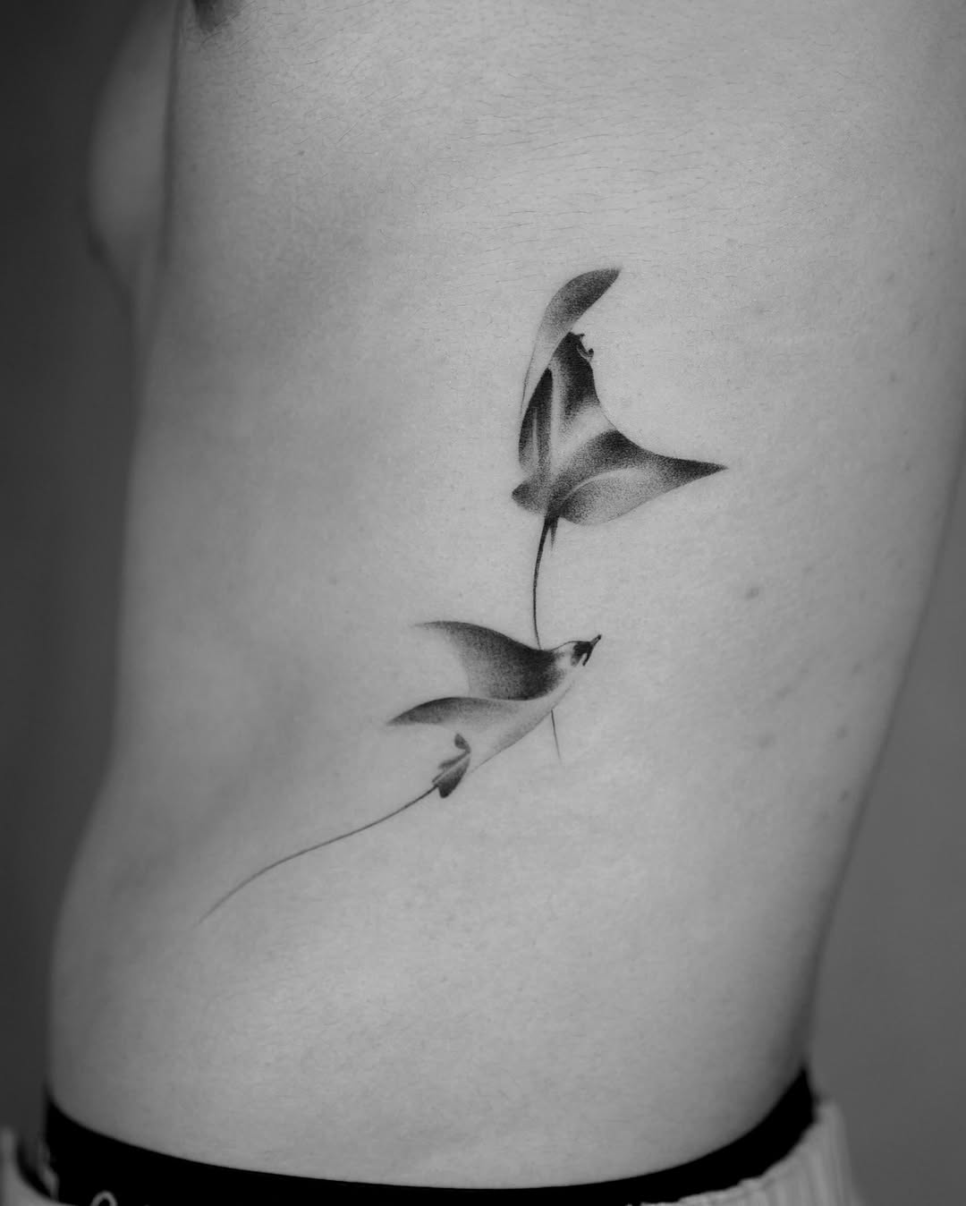 Two manta rays fine line tattoo on the ribs by River, New York, New York