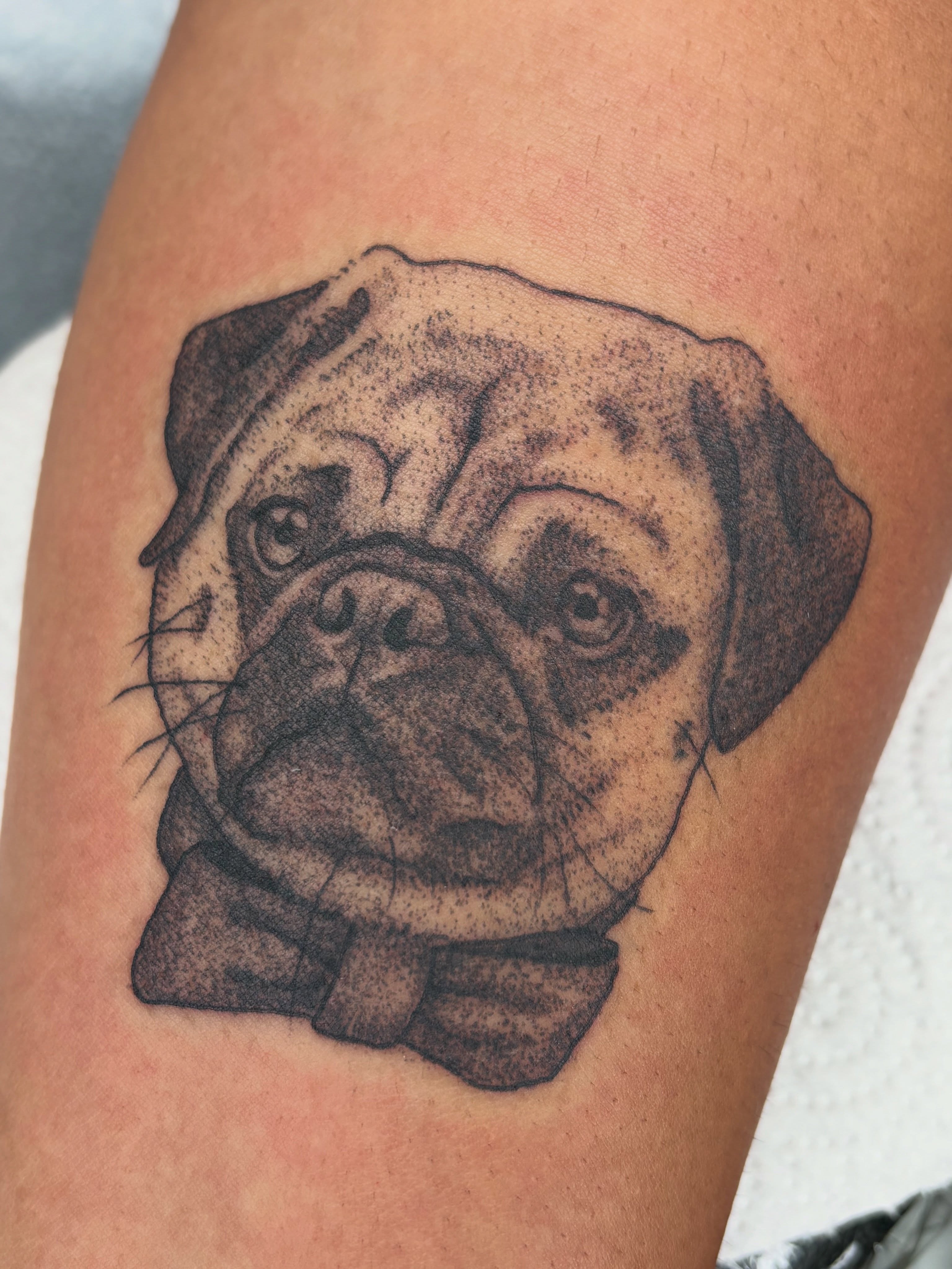 Pug dotwork tattoo on the forearm by san diego tattoo artist ✩, San Diego, California