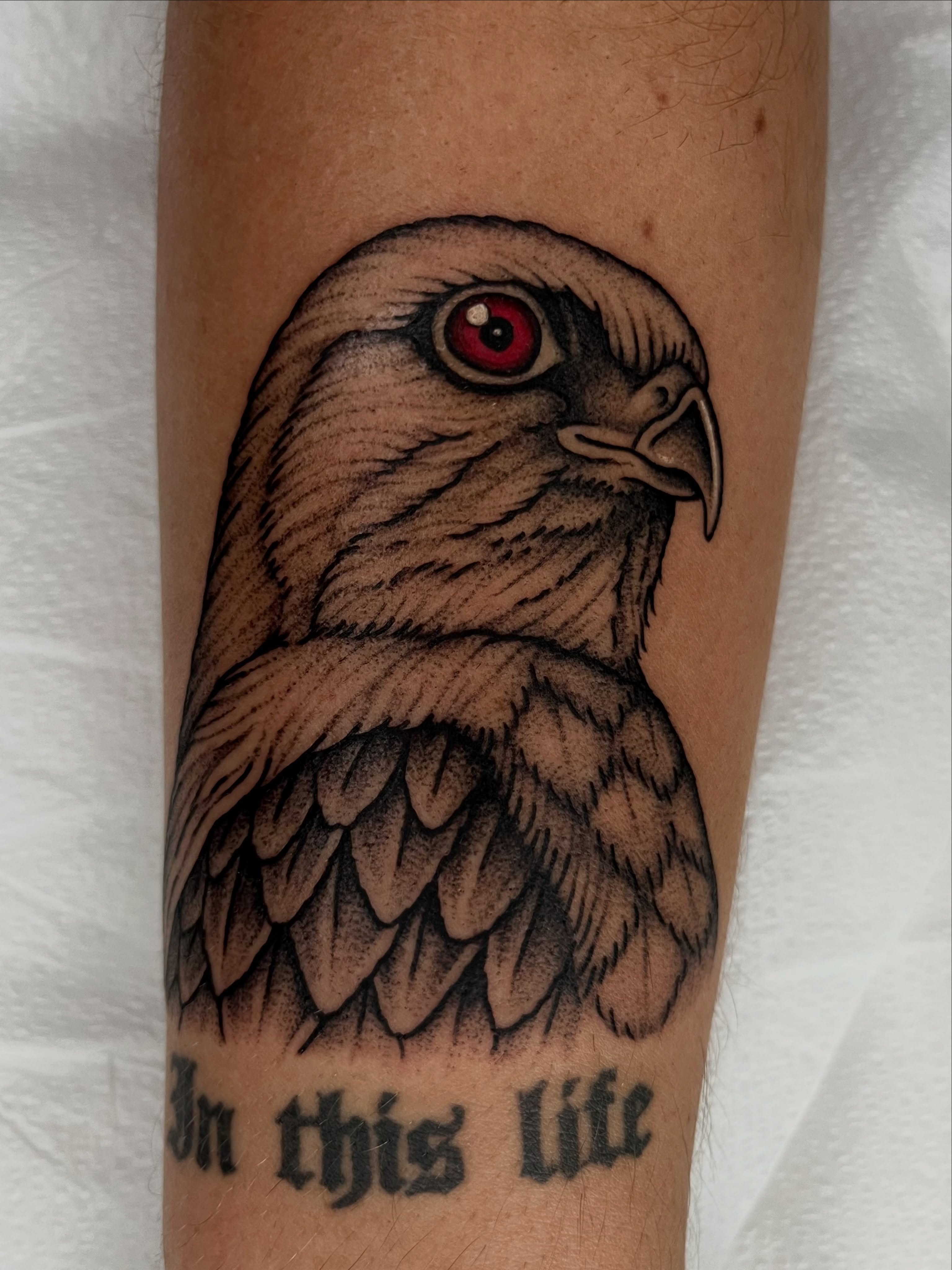 Hawk black and grey tattoo on the forearm by Patrick Elijah