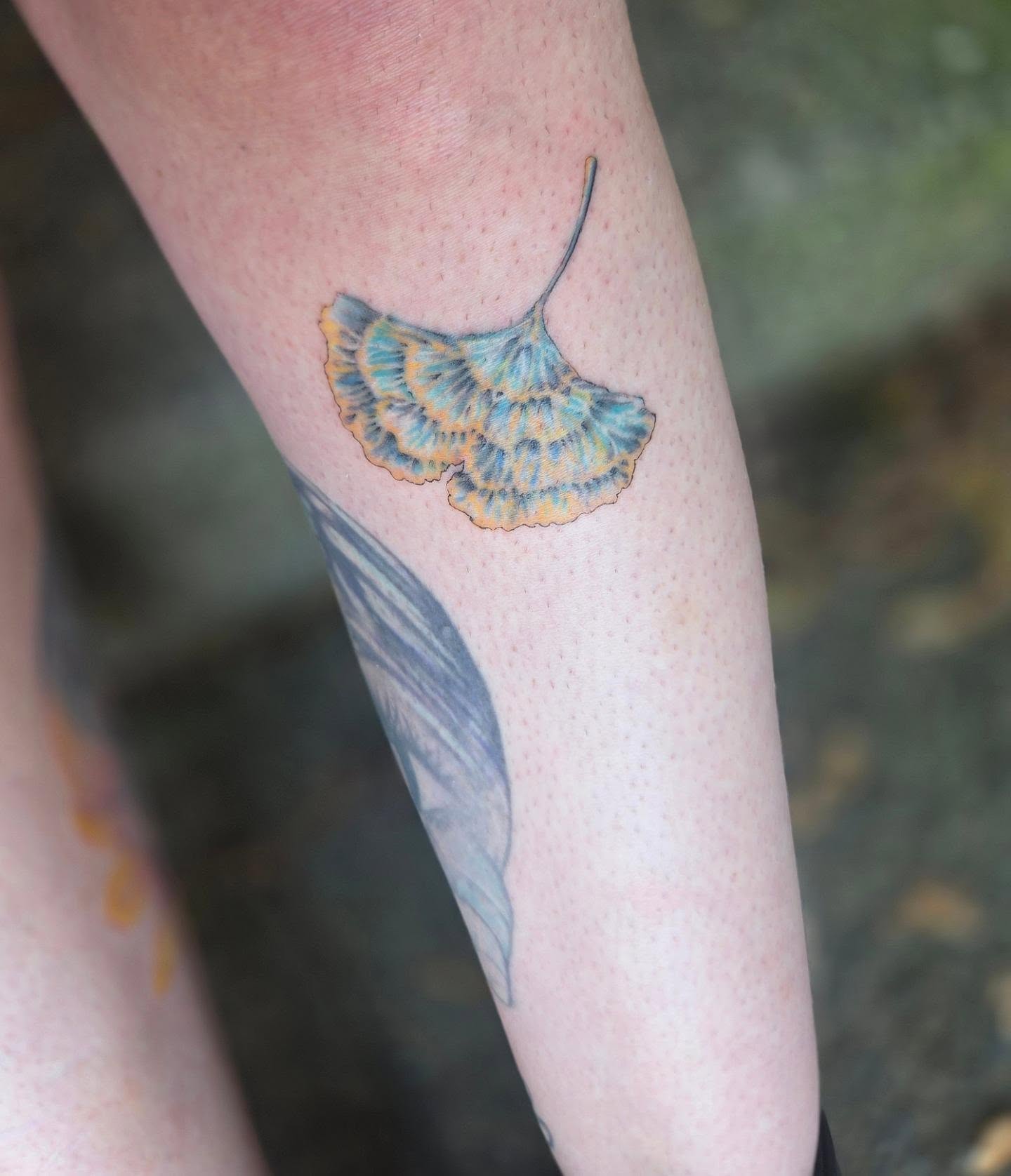 Ginger leaf realism tattoo on the forearm by Molly DeSmedt