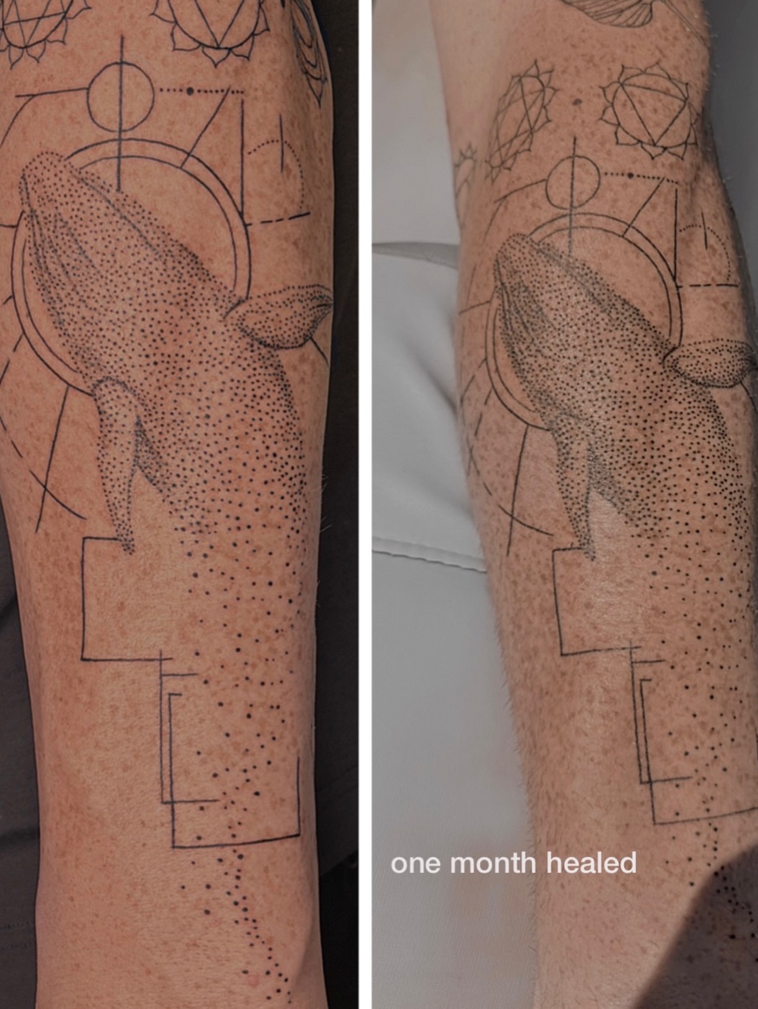 Whale dotwork tattoo on the forearm by Charlotte