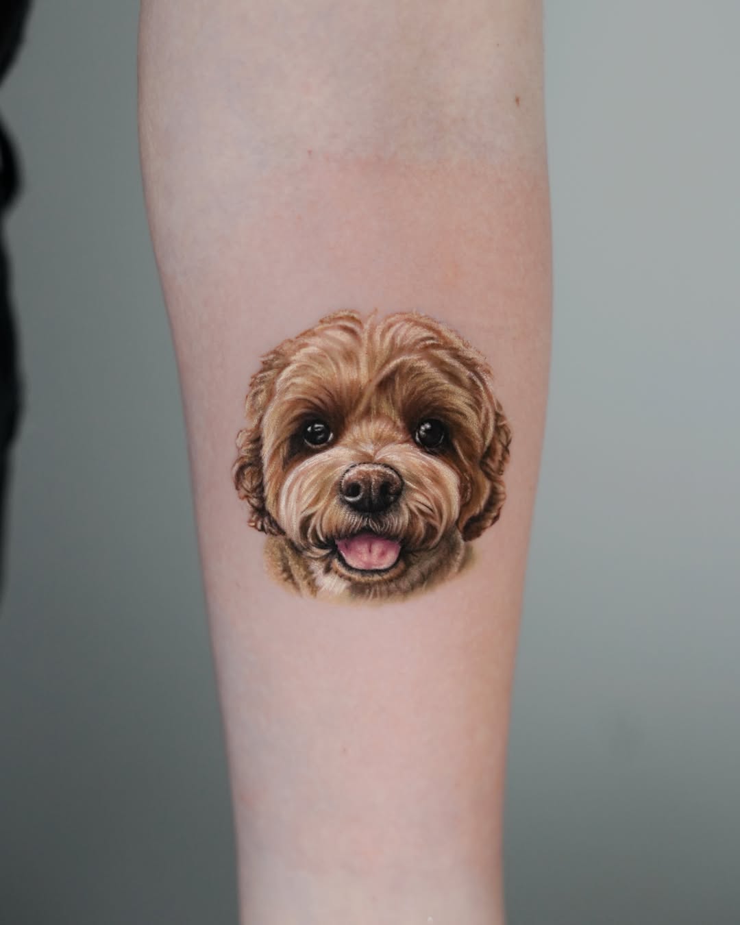 Dog realism tattoo on the forearm by Hoze