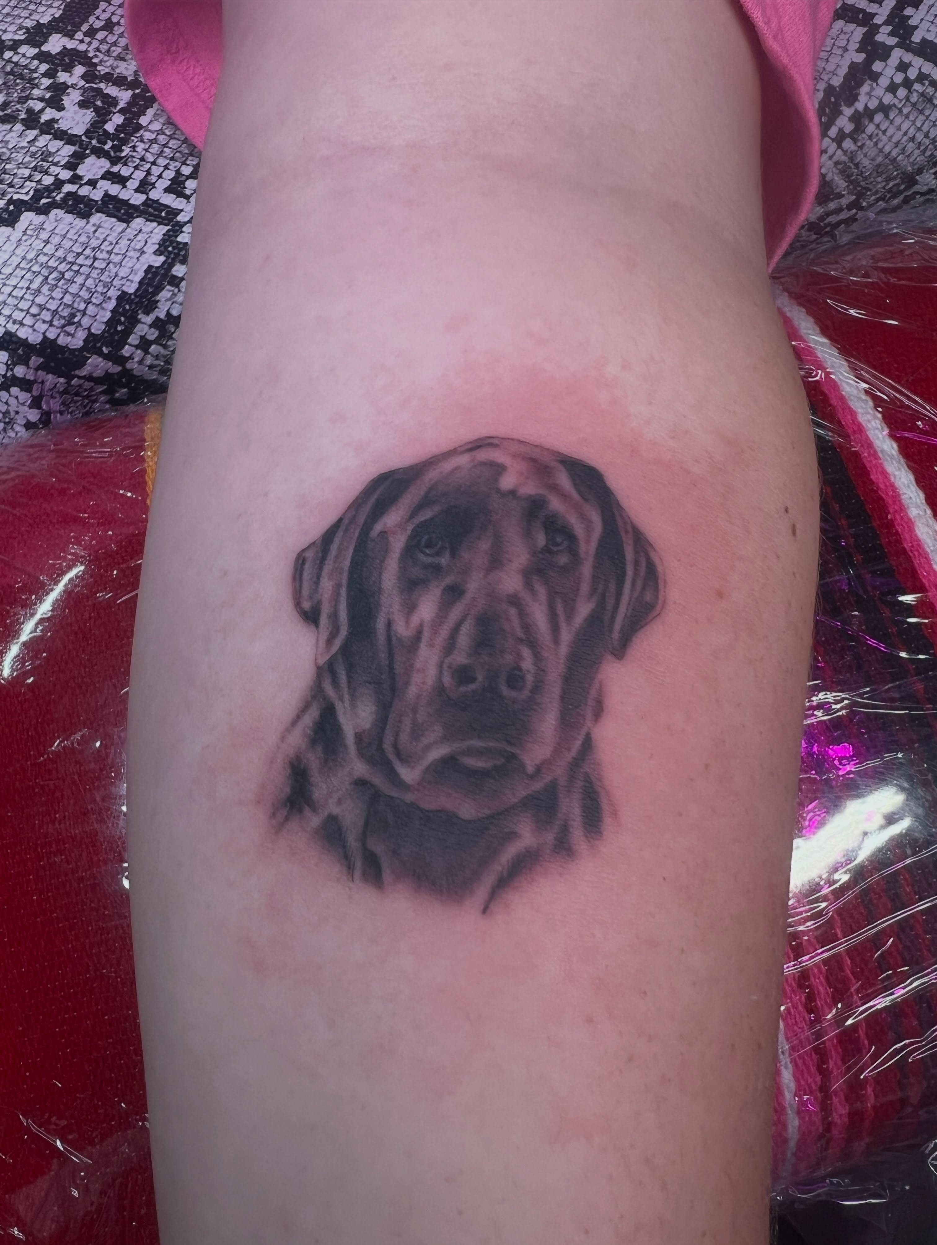 Dog realism tattoo on the forearm by Charlie Campanella