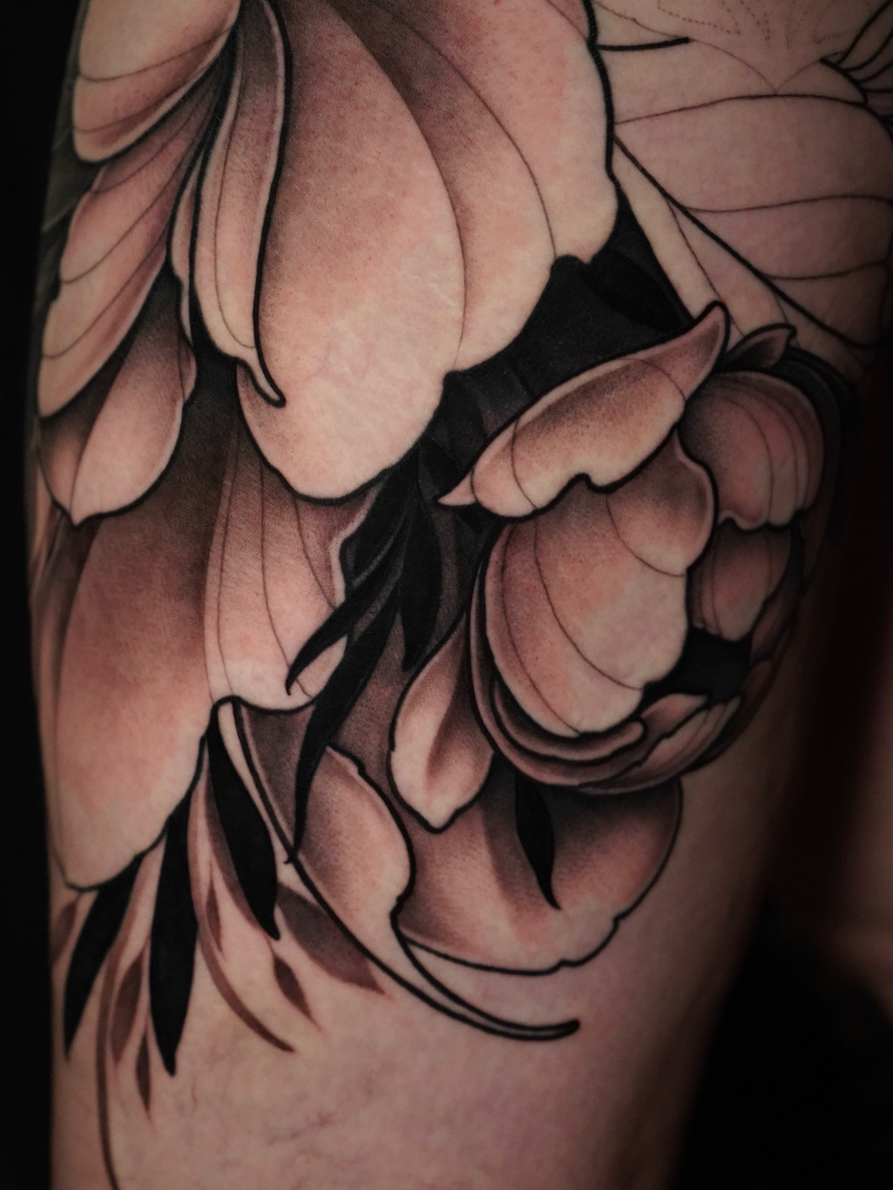 Peony black and grey tattoo on the upper arm by Haley Corinne