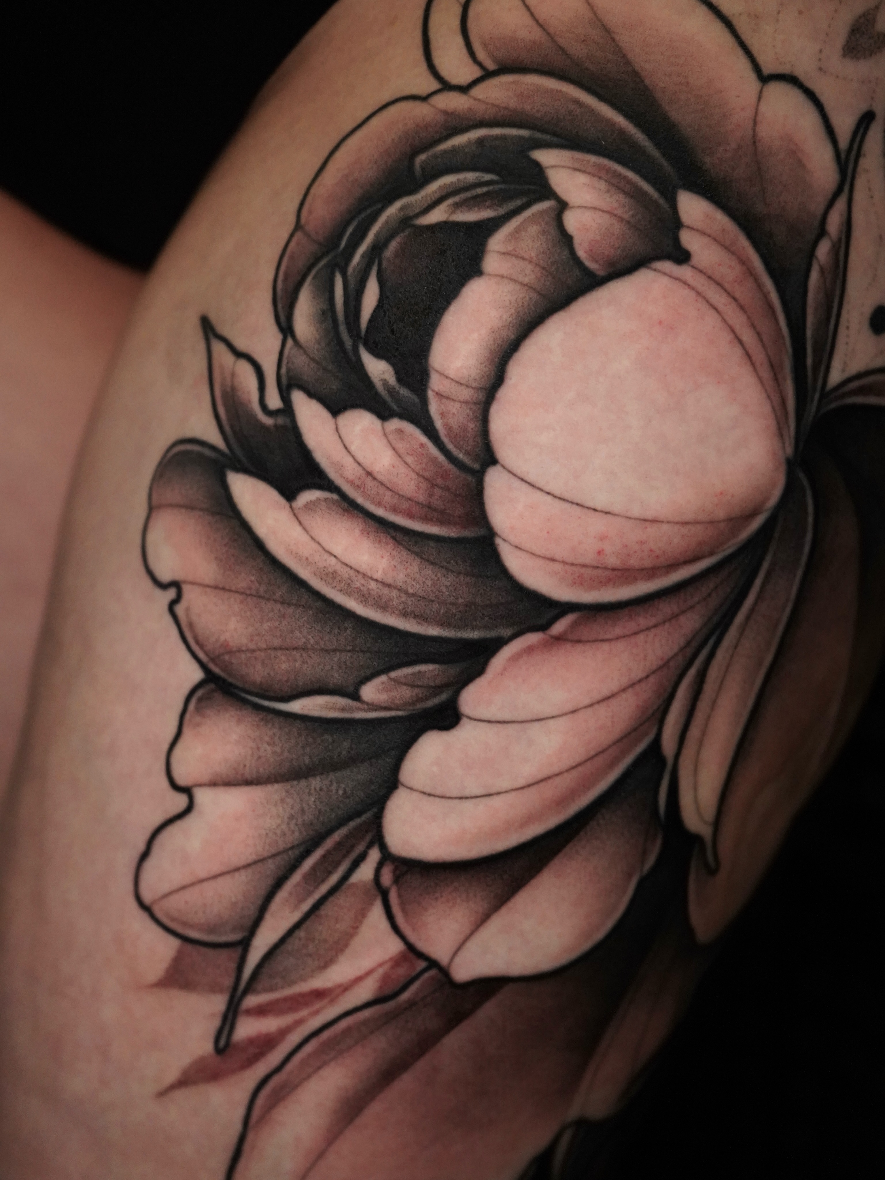 Rose black and grey tattoo on the forearm by Haley Corinne