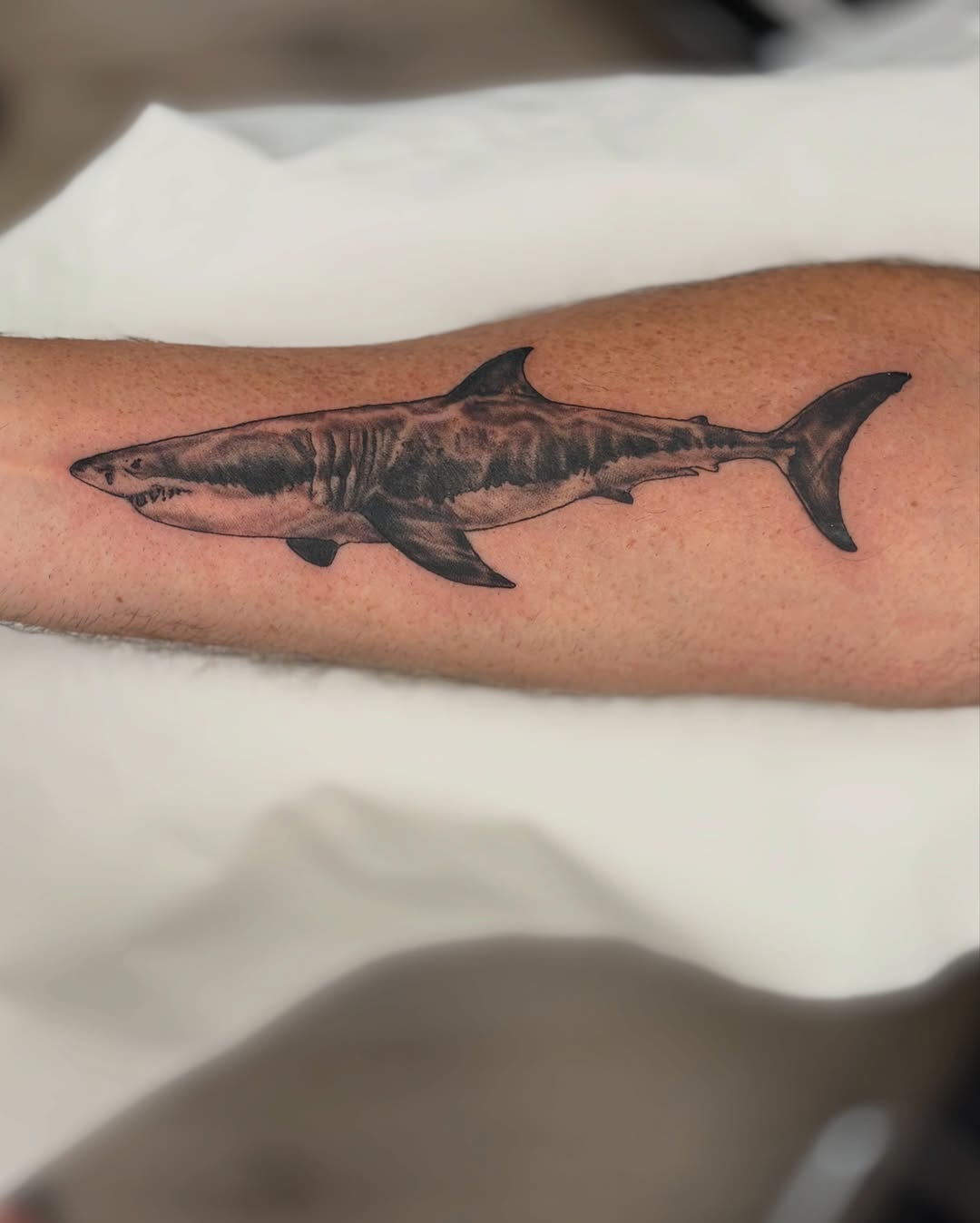 Great white shark realism tattoo on the forearm by Ruth Ormsby-Ashworth