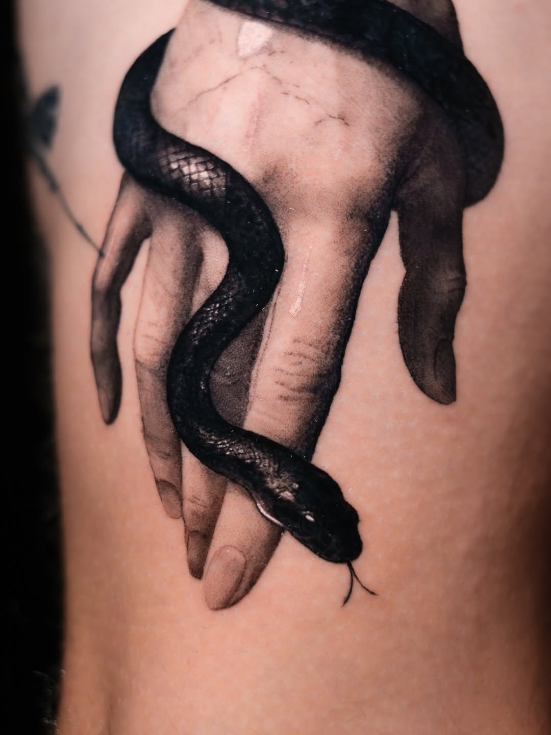 Tattoo by @stadnyque — realism, black_and_grey