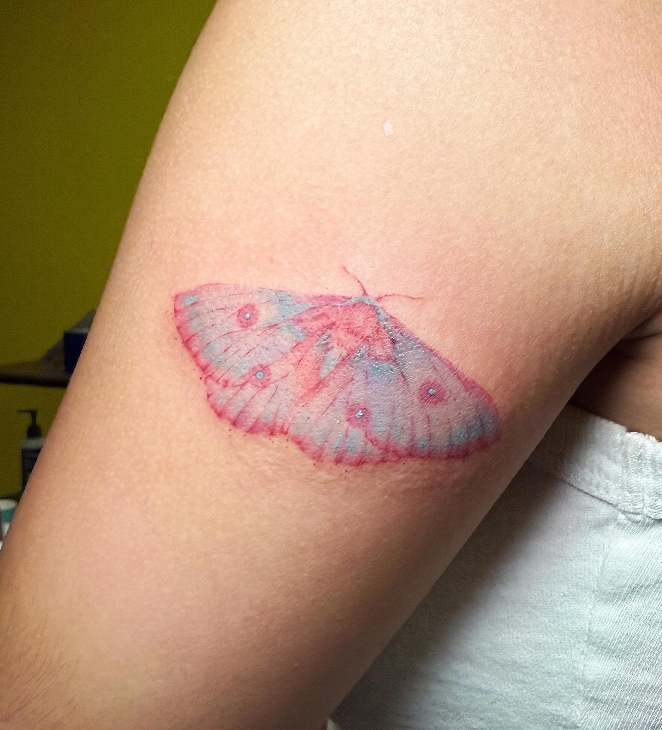 Moth watercolor tattoo on the forearm by Echo