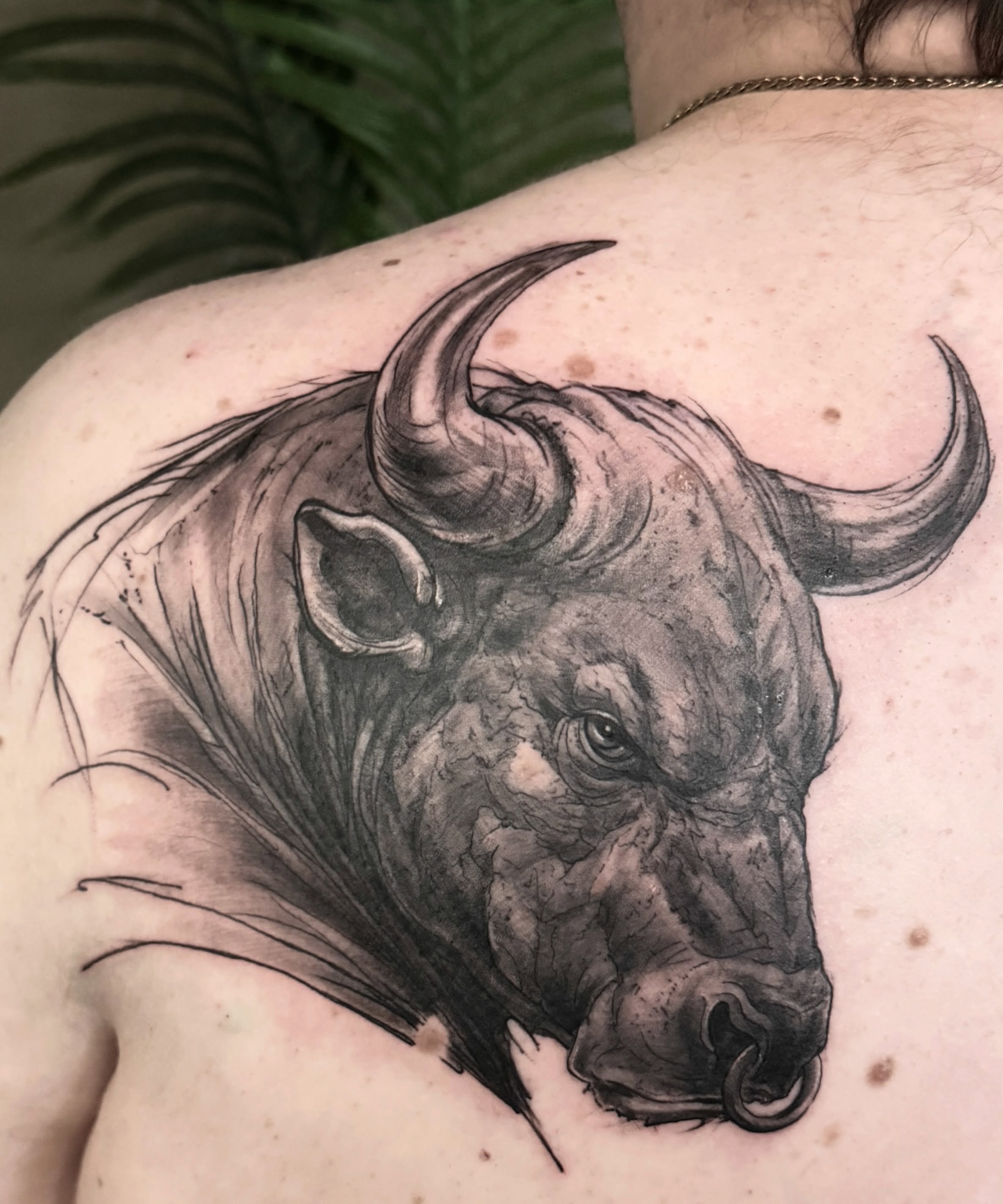Buffalo realism tattoo on the shoulder by Die Ivo, Bielefeld, Germany