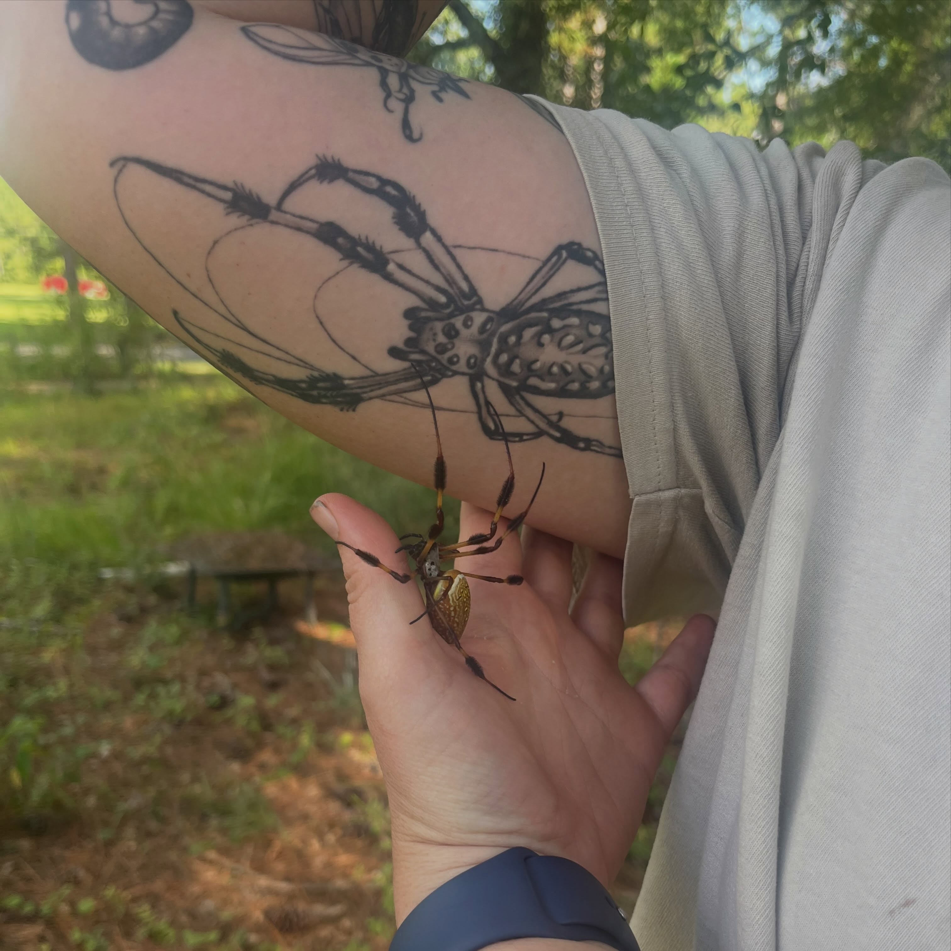 Tattoo by @some.mo.art — black_and_grey