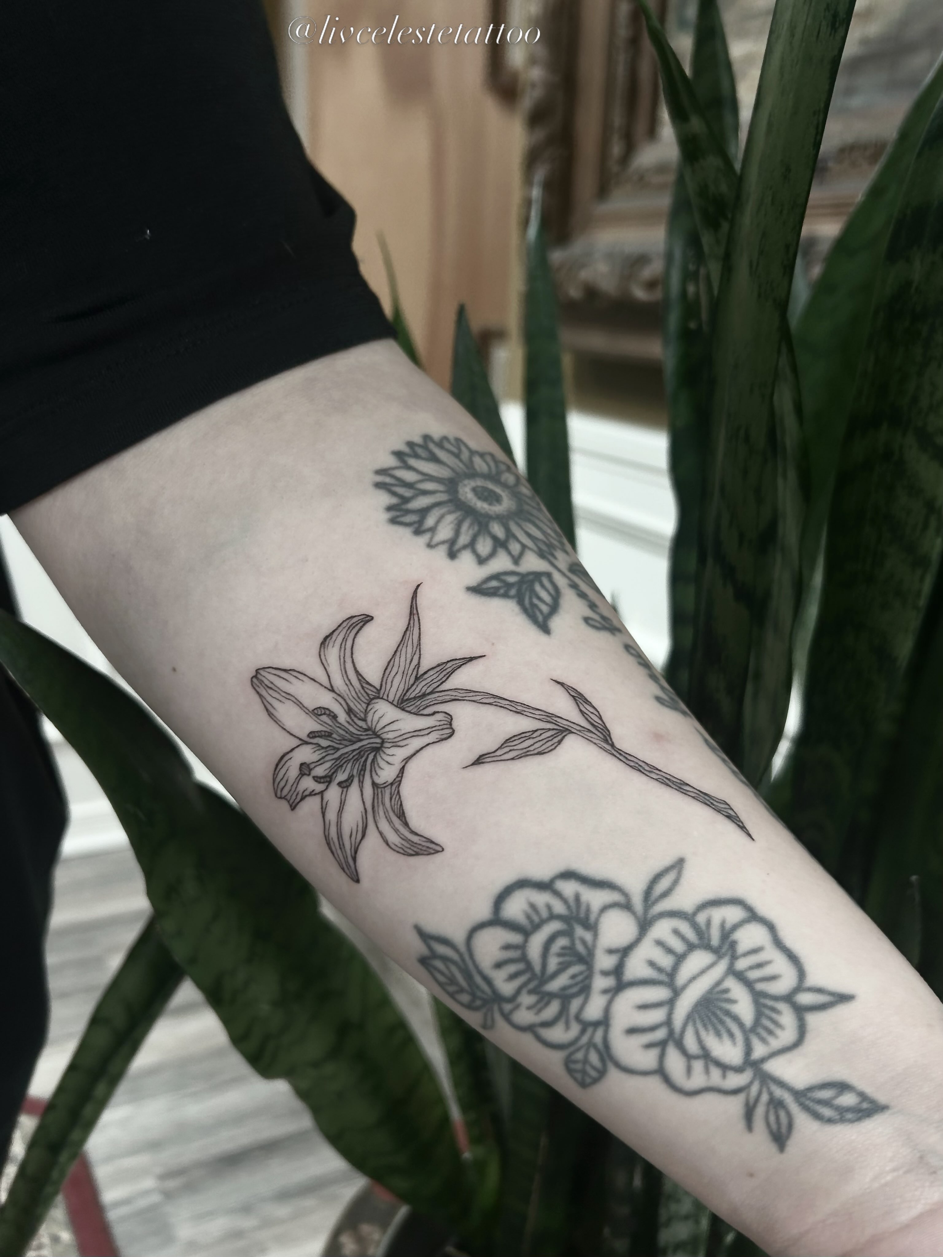 Flowers black and grey tattoo on the forearm by ༻❁༺ ⟡ 𝑳𝒊𝒗 𝑪𝒆𝒍𝒆𝒔𝒕𝒆 ⟡ ༻❁༺