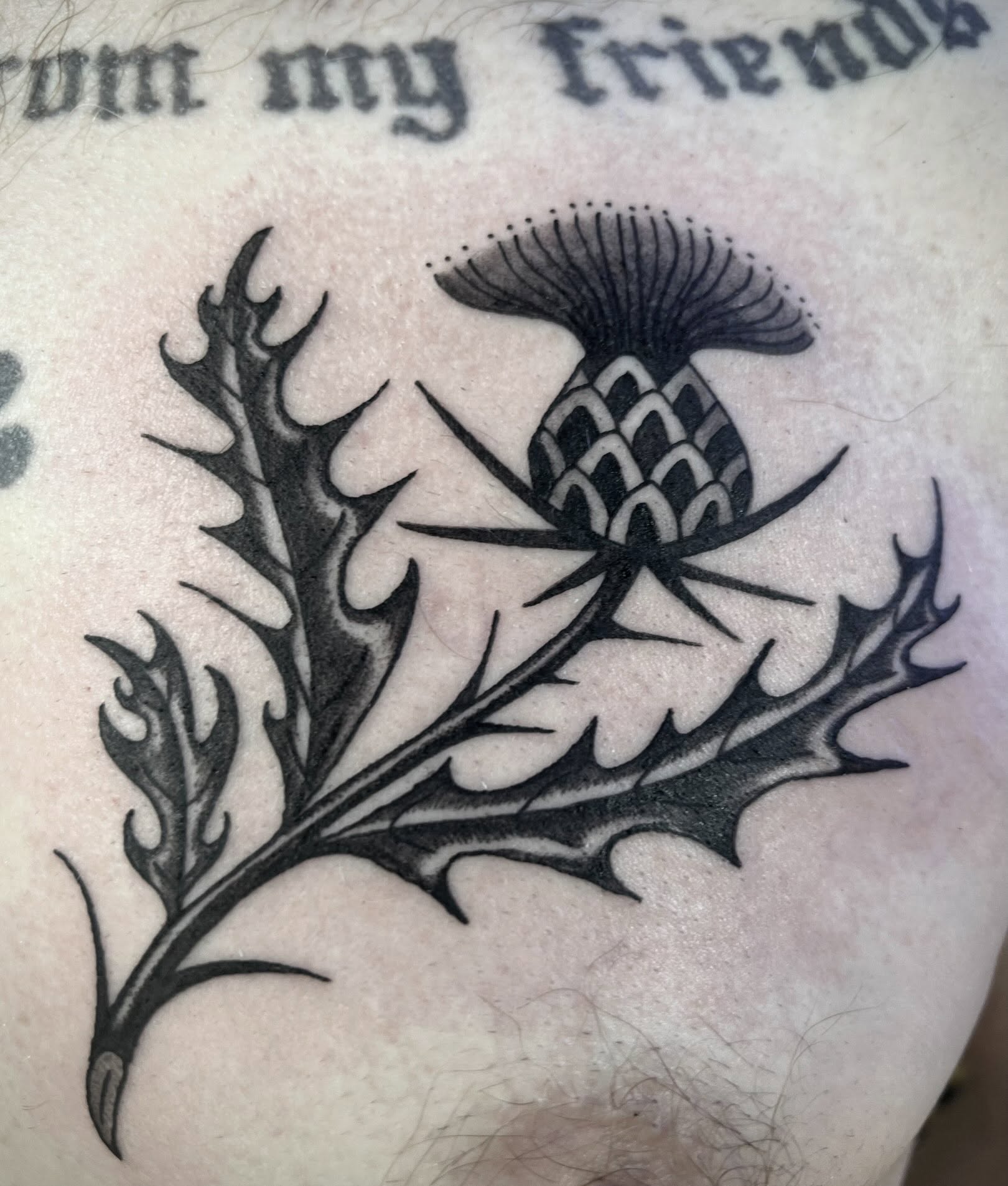 Thistle black and grey tattoo by Natalie Phillips, Oakland, California