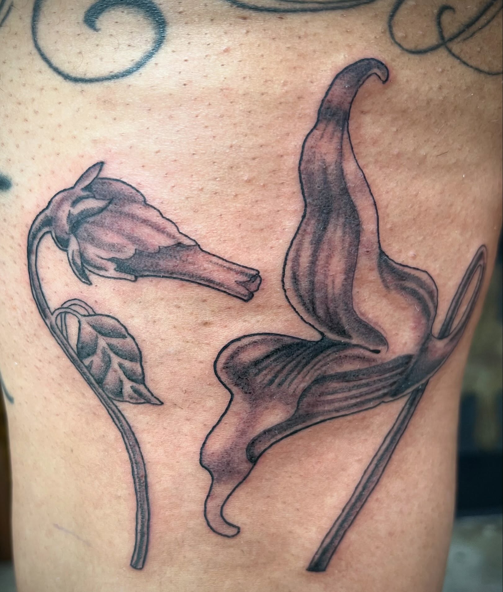 Calla lilies black and grey tattoo on the thigh by Natalie Phillips, Oakland, California