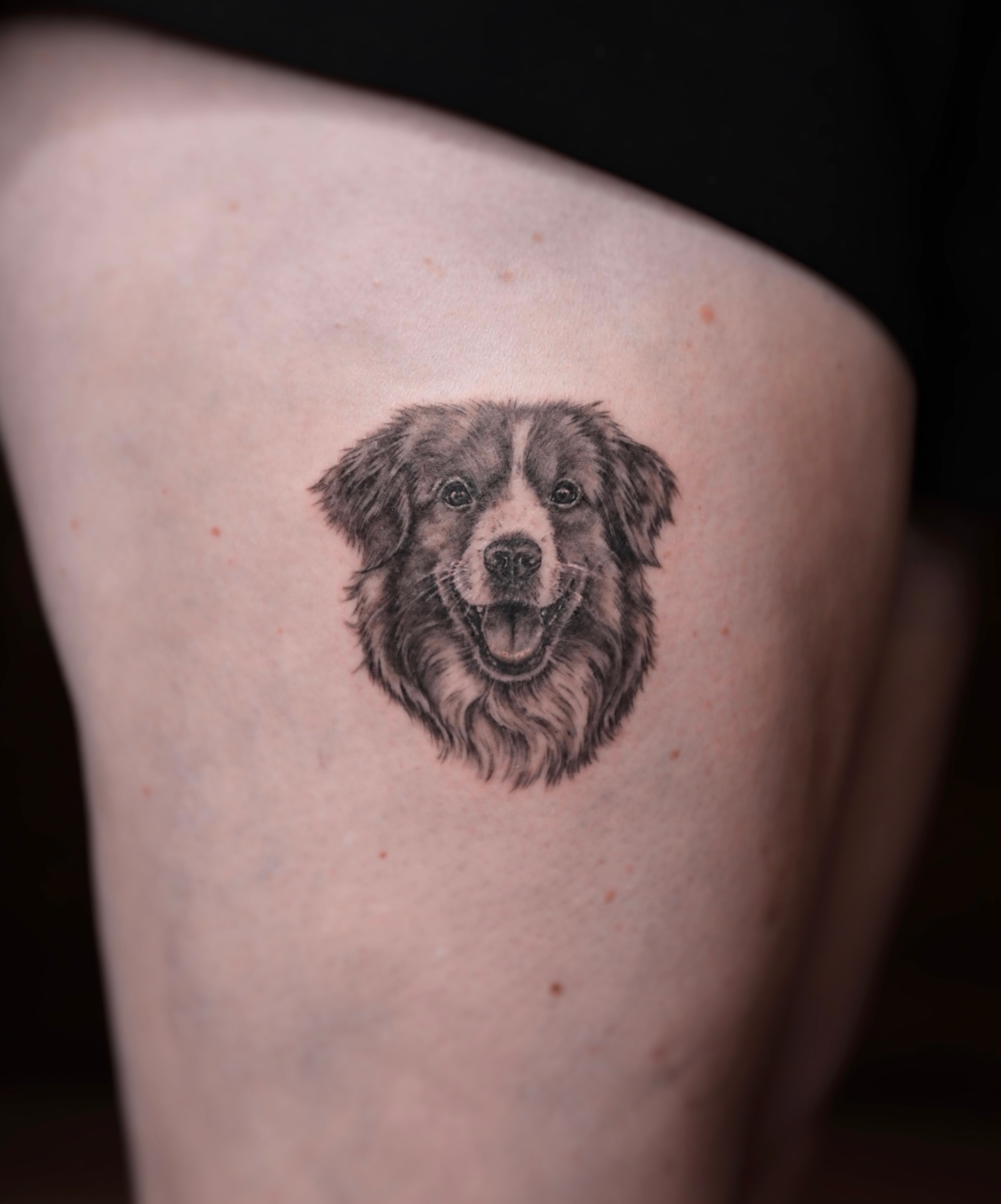 Dog realism tattoo on the thigh by Alina 🌙 Tattoo in Calgary 🇨🇦
