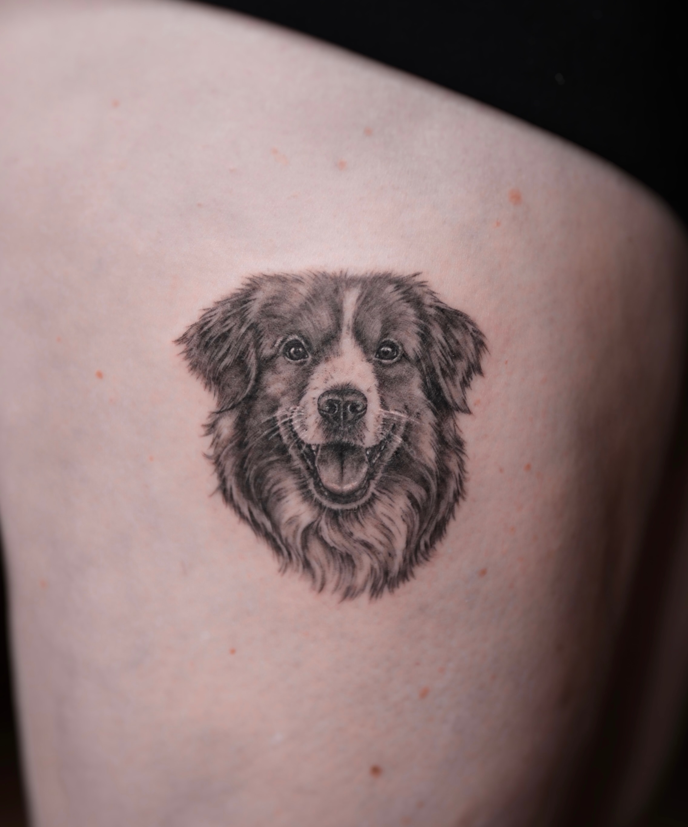 Dog realism tattoo on the upper arm by Alina 🌙 Tattoo in Calgary 🇨🇦
