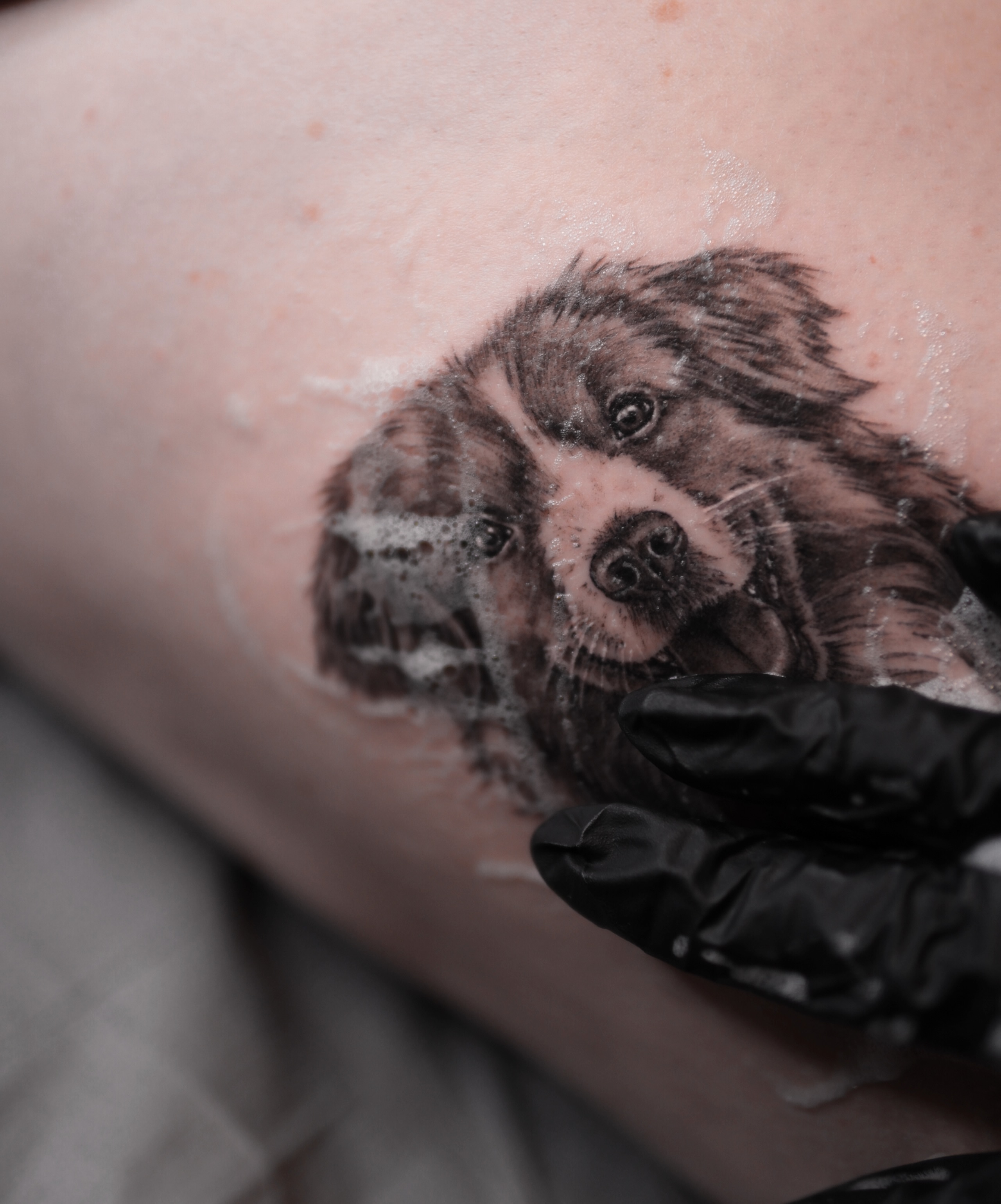 Dog realism tattoo on the forearm by Alina 🌙 Tattoo in Calgary 🇨🇦