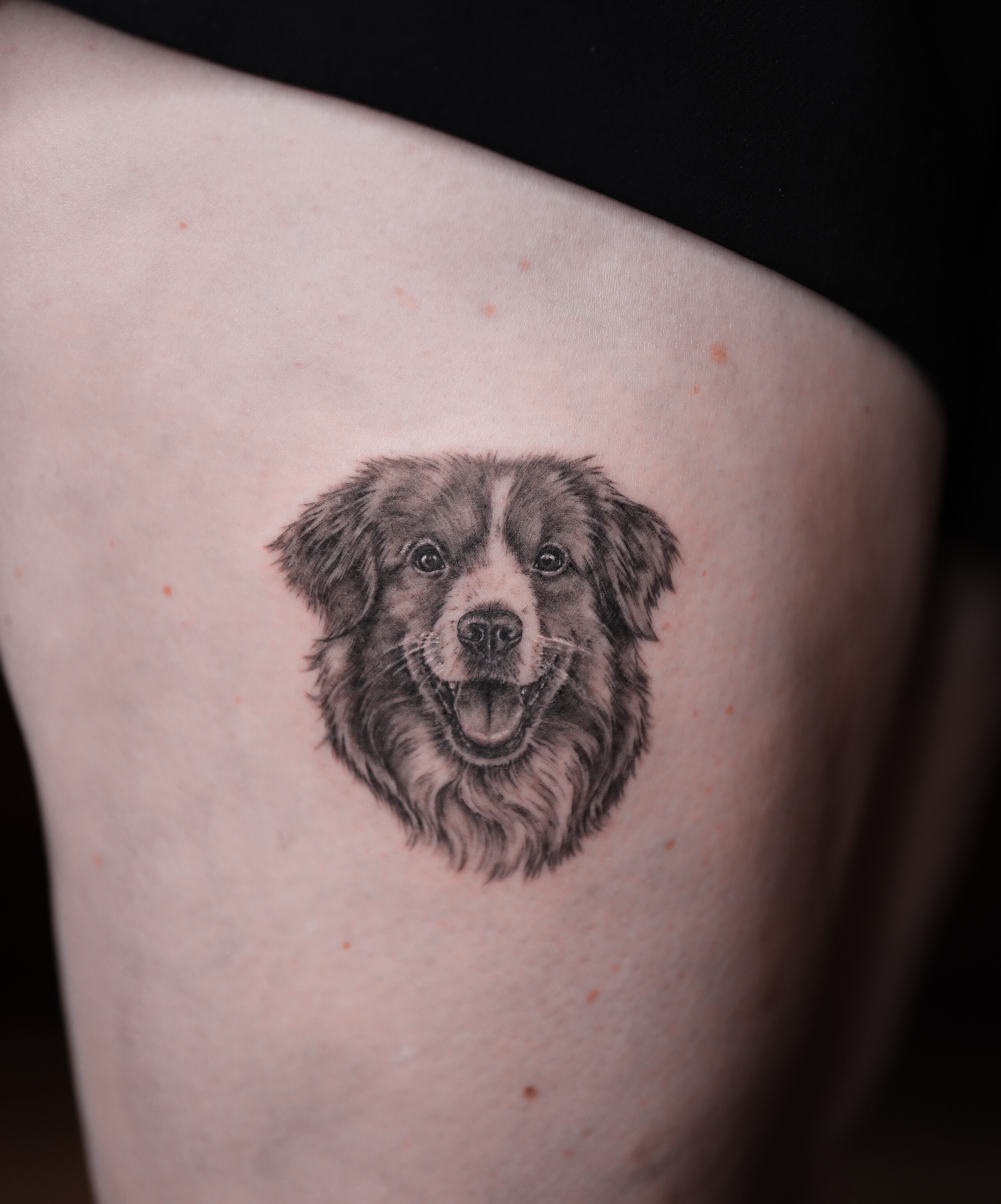 Dog realism tattoo on the thigh by Alina 🌙 Tattoo in Calgary 🇨🇦