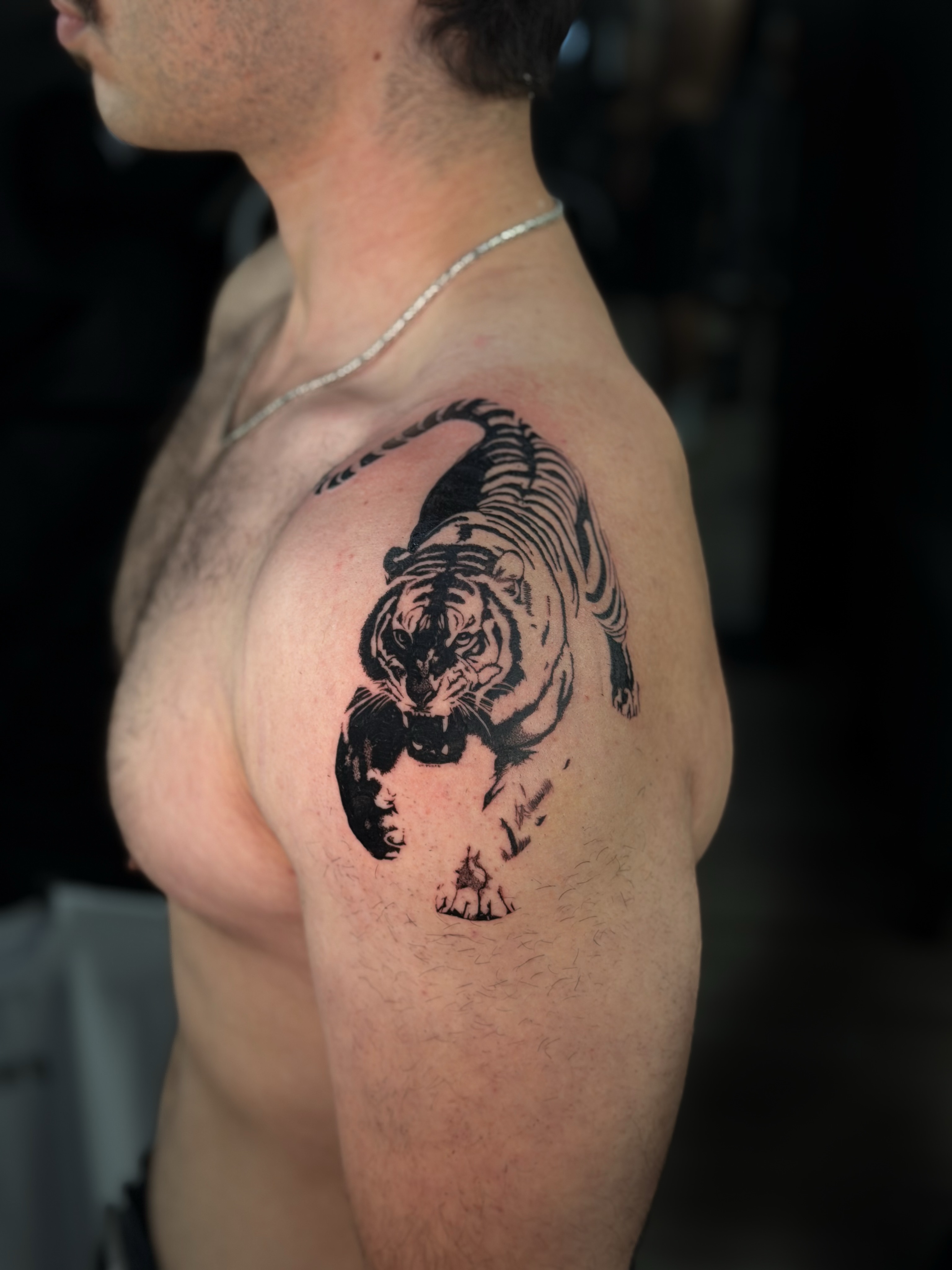 Tiger black and grey tattoo on the chest by Elijah Cosme, Miami, Florida