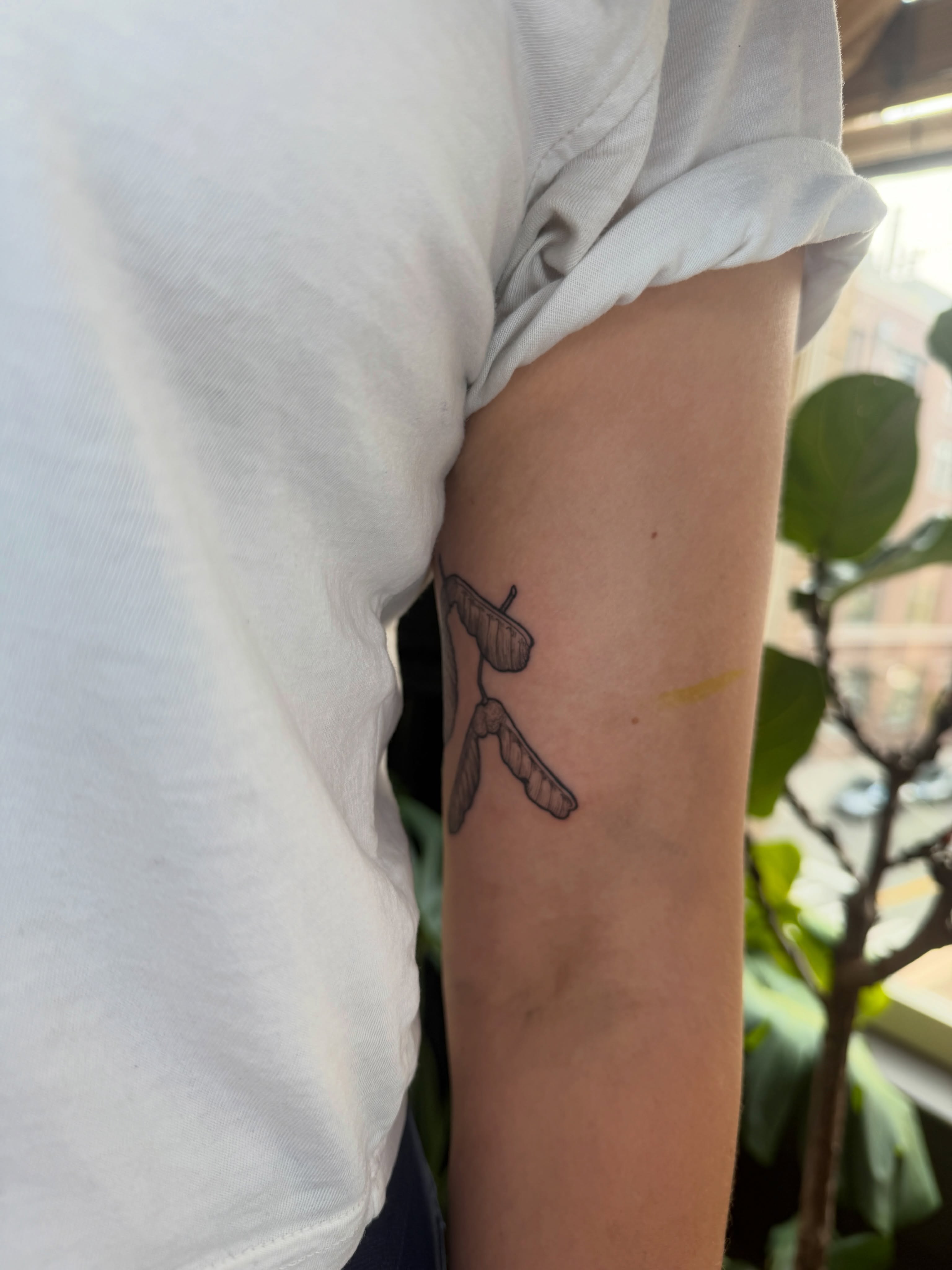 Maple seed pods black and grey tattoo on the forearm by Lora Bird