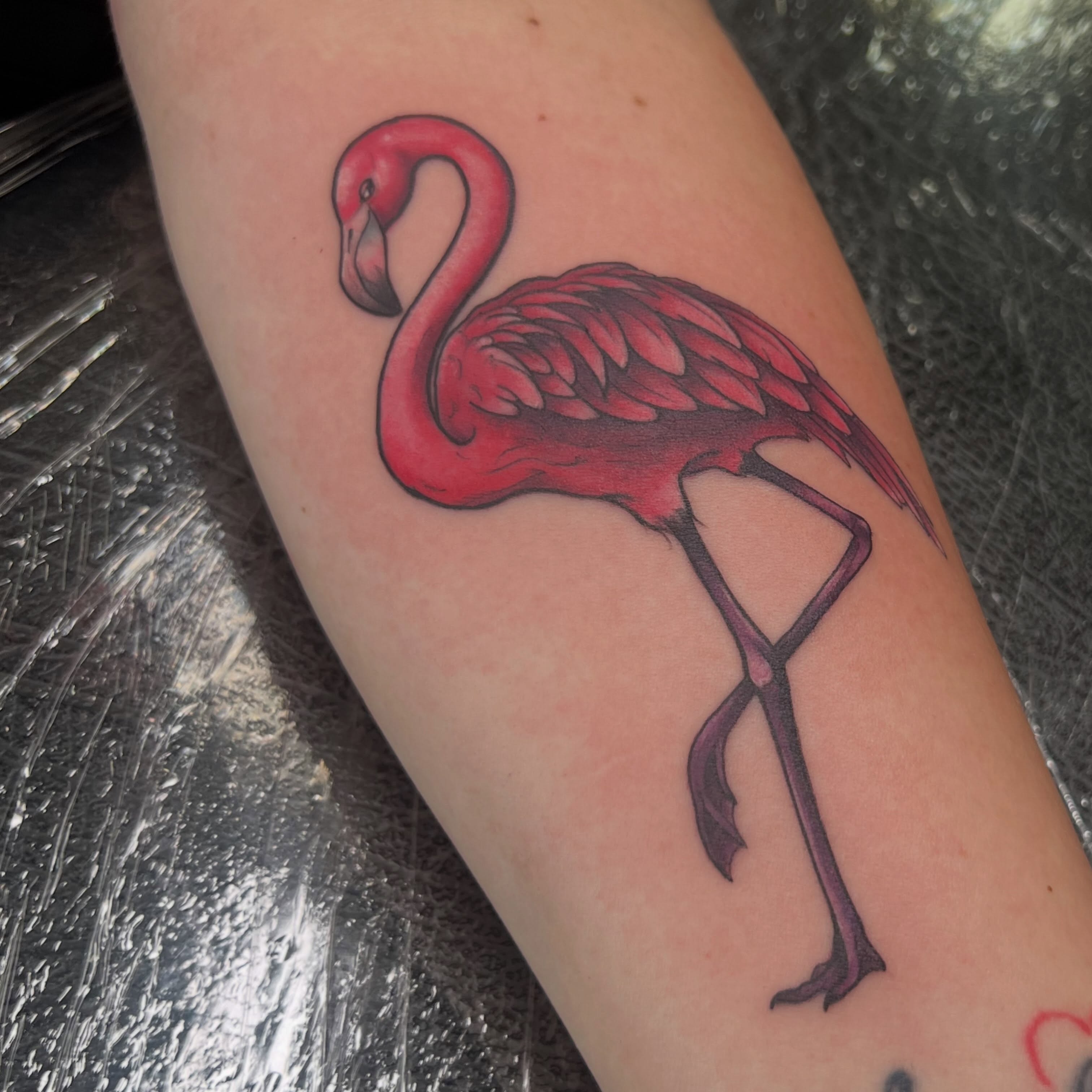 Flamingo realism tattoo on the forearm by Bailey Goodwin, Ankeny, Iowa