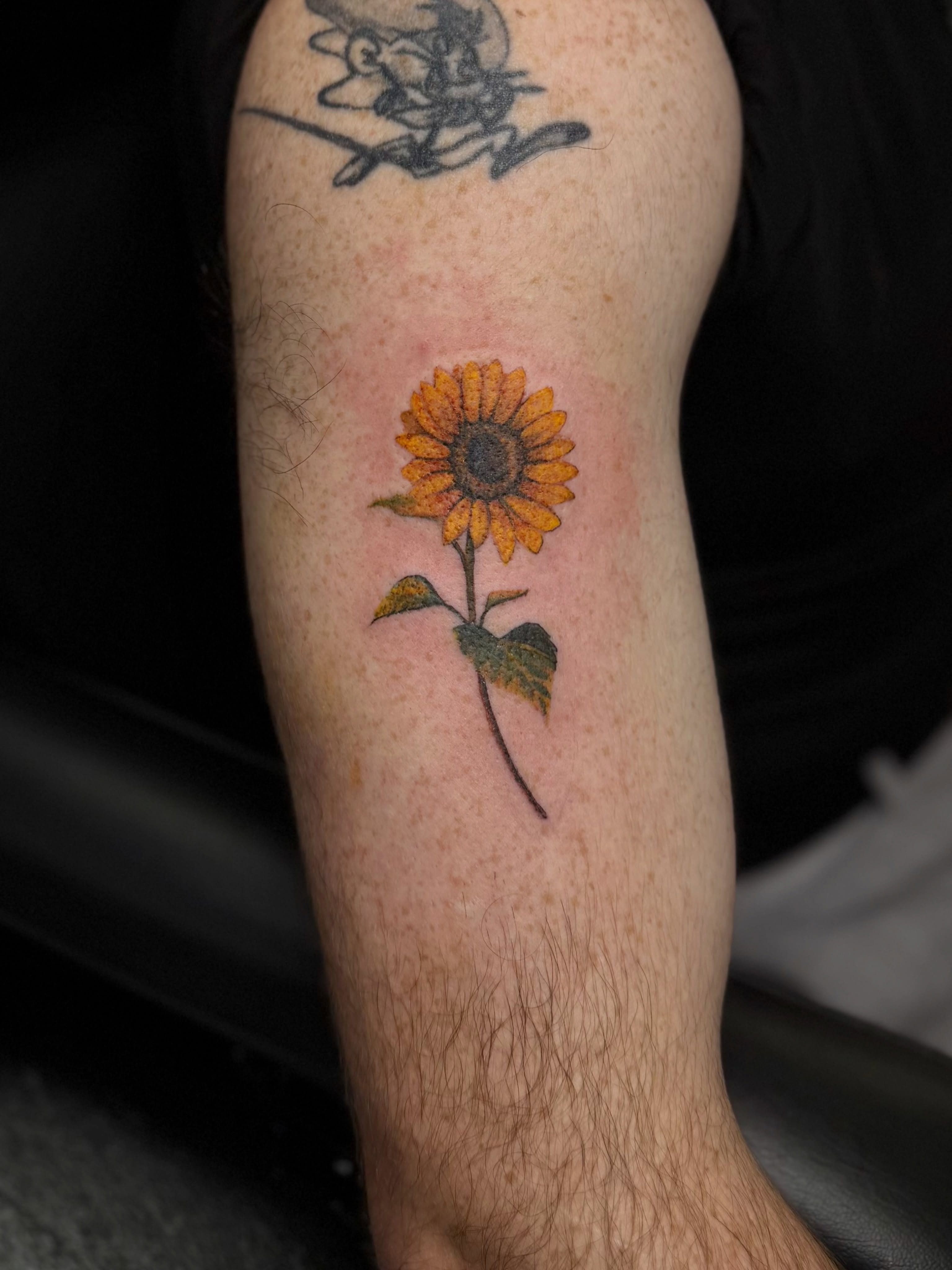 Sunflower realism tattoo on the forearm by Skylar Sheeley