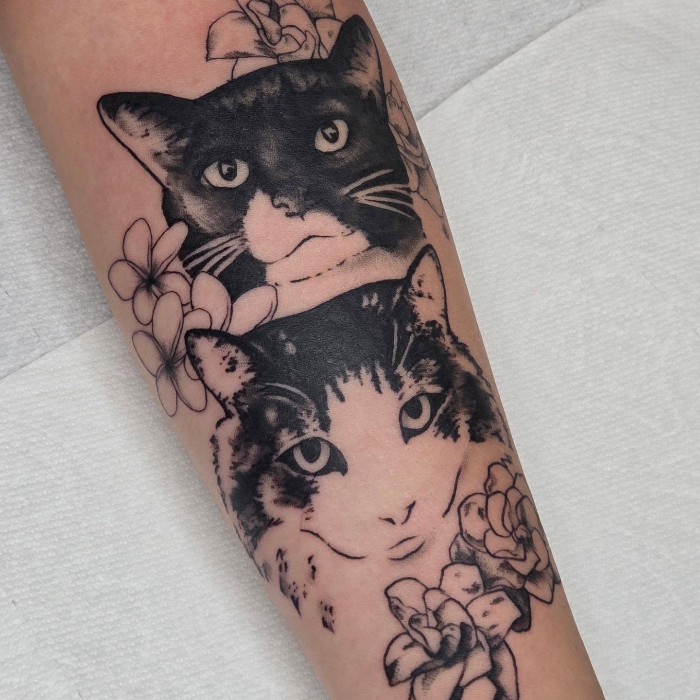 Cats and flowers realism tattoo on the forearm by alec