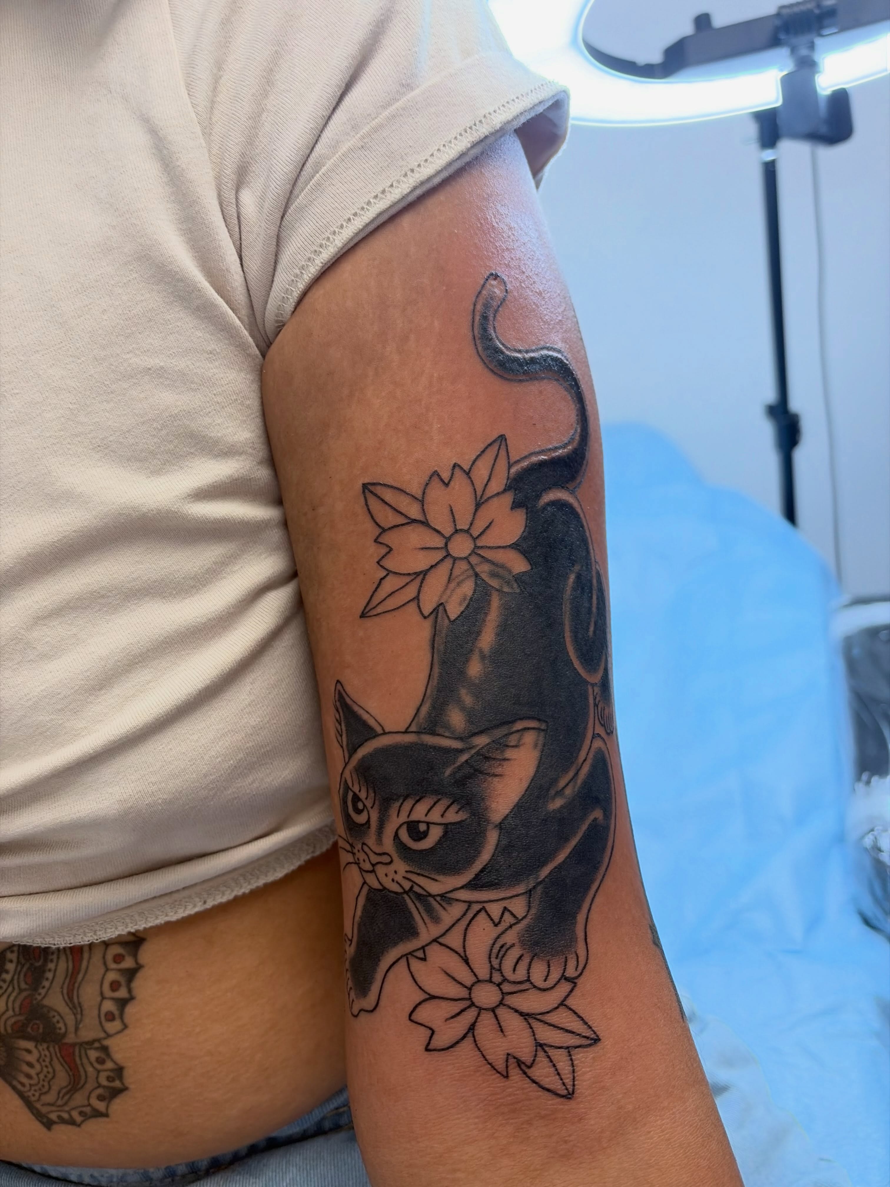 Cat and flowers black and grey tattoo on the forearm by sechi