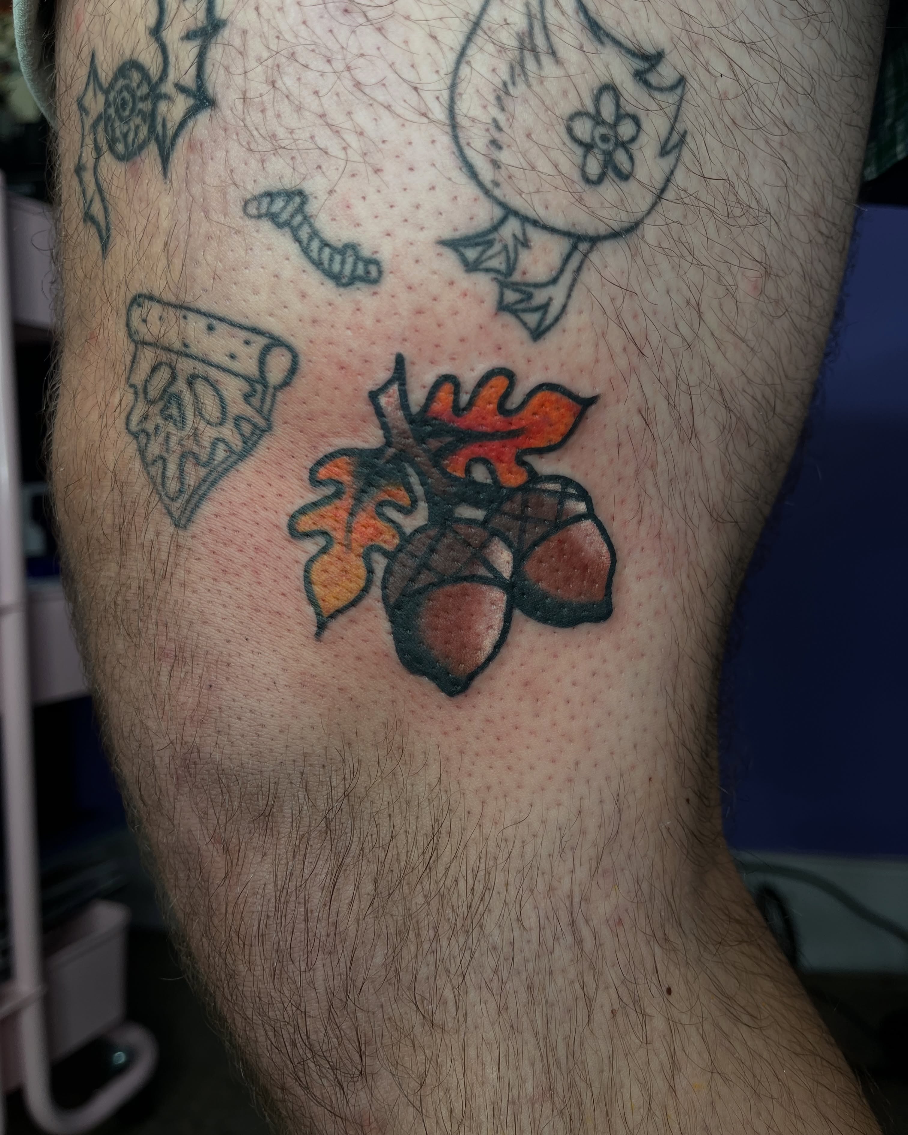 Acorns and oak leaves dotwork tattoo on the leg by Autumn**🍓NOW BOOKING