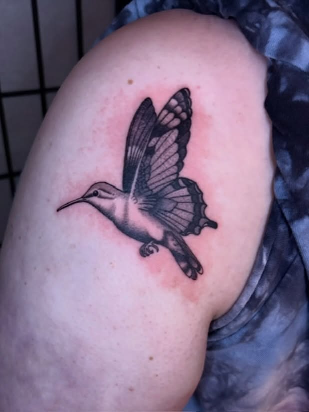 Hummingbird realism tattoo on the shoulder by Tash ๐โ๐ฉ