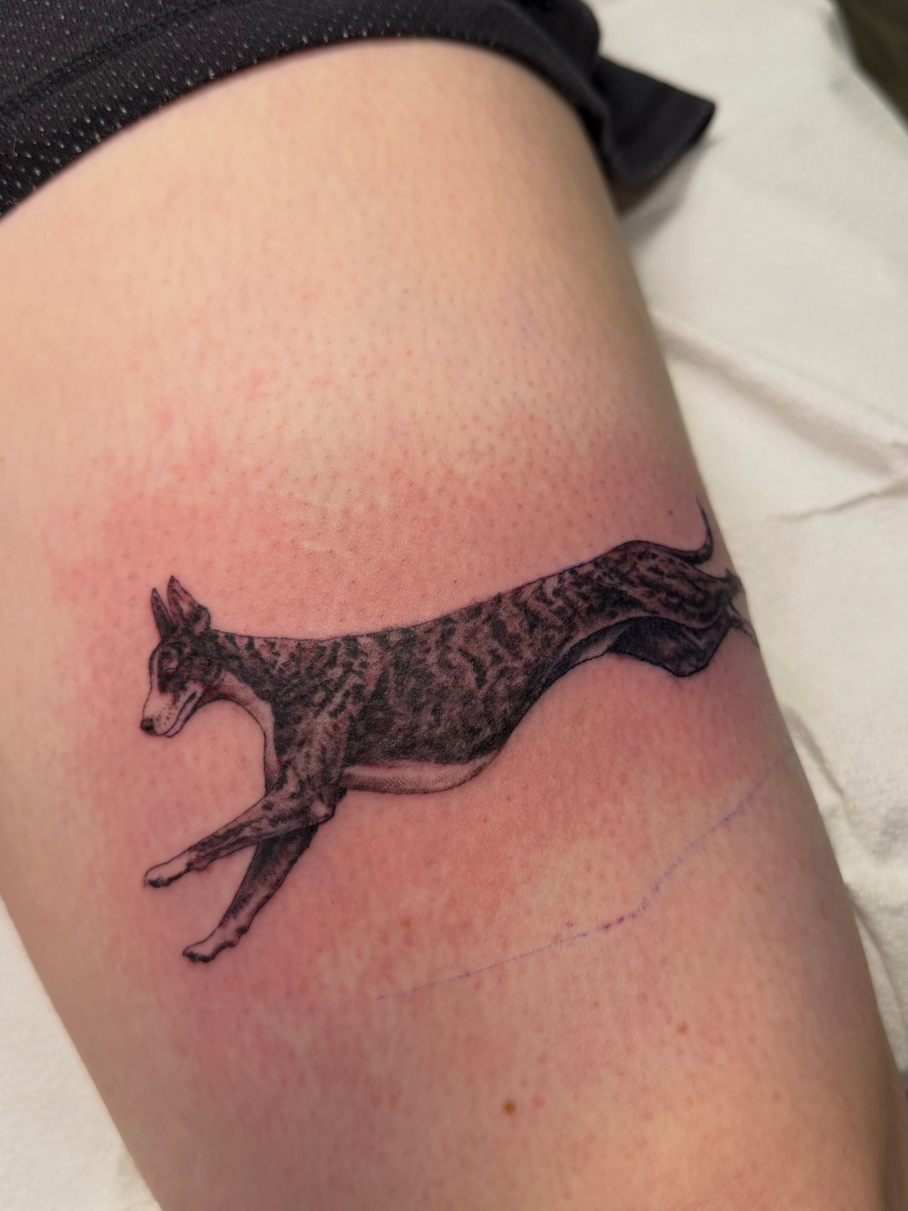 Tattoo by @tyannecherise — black_and_grey