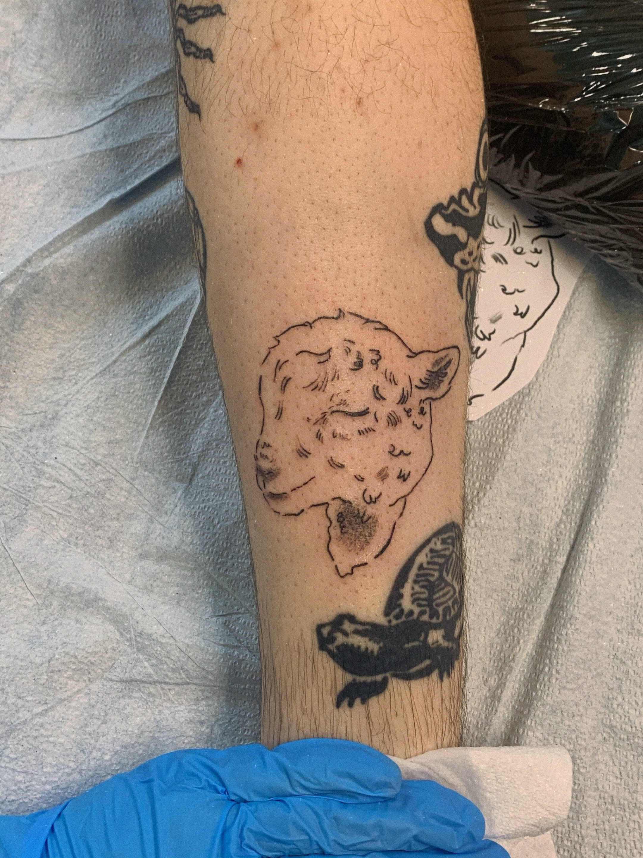 Sheep and butterfly black and grey tattoo on the forearm by charles