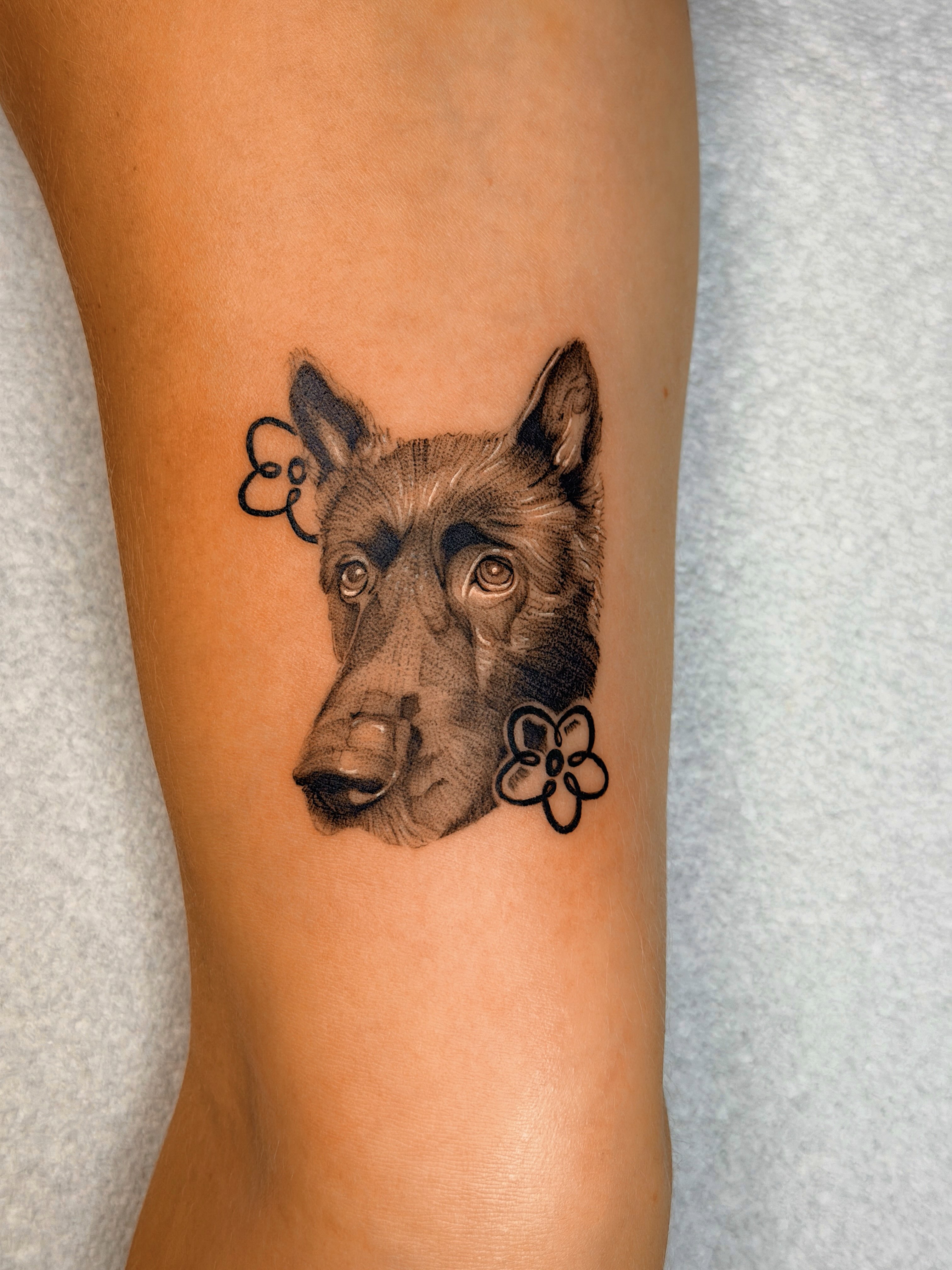 Dog realism tattoo on the forearm by Nate Weaver