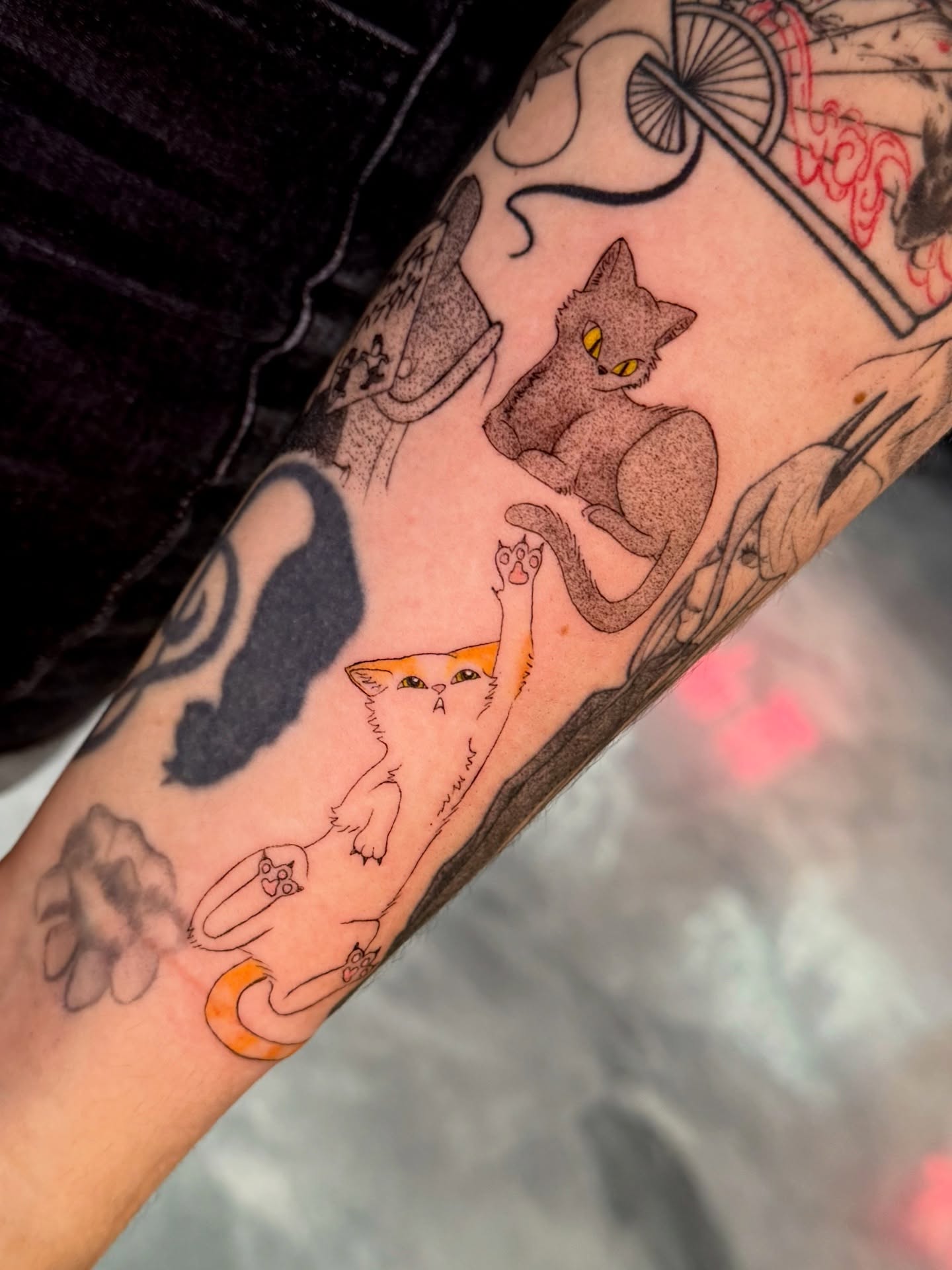 Cats American traditional tattoo on the forearm by Key