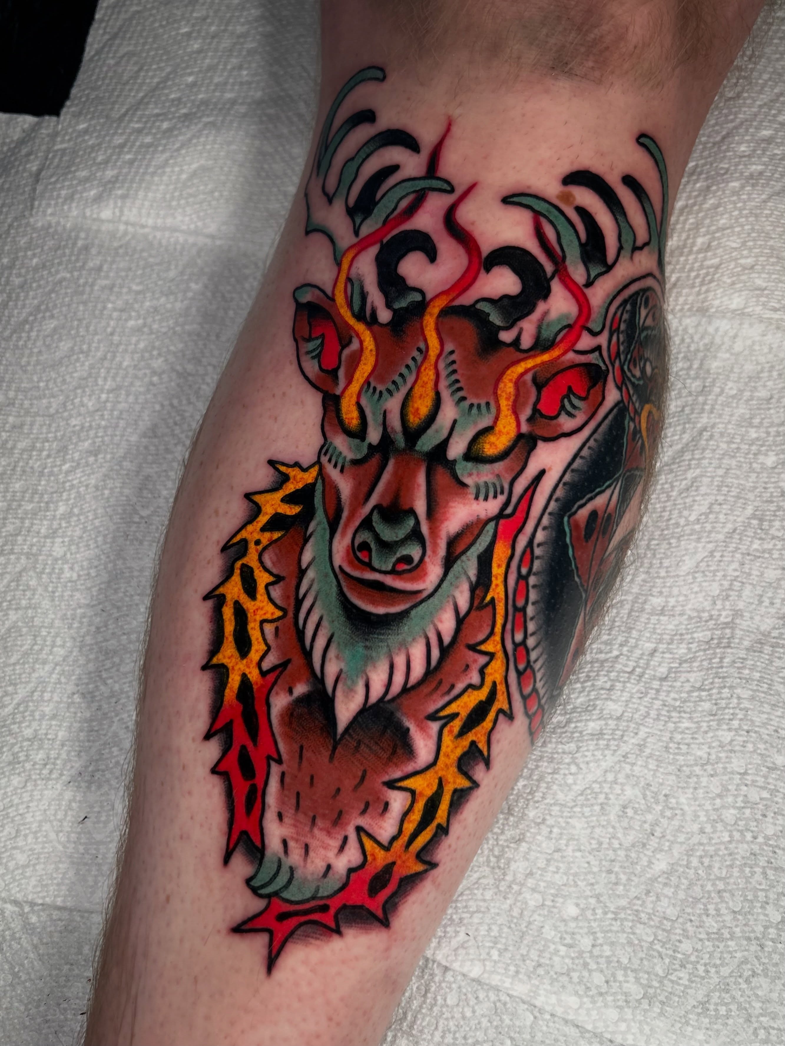 Deer head American traditional tattoo on the forearm by Kit Miller, Indianapolis, Indiana