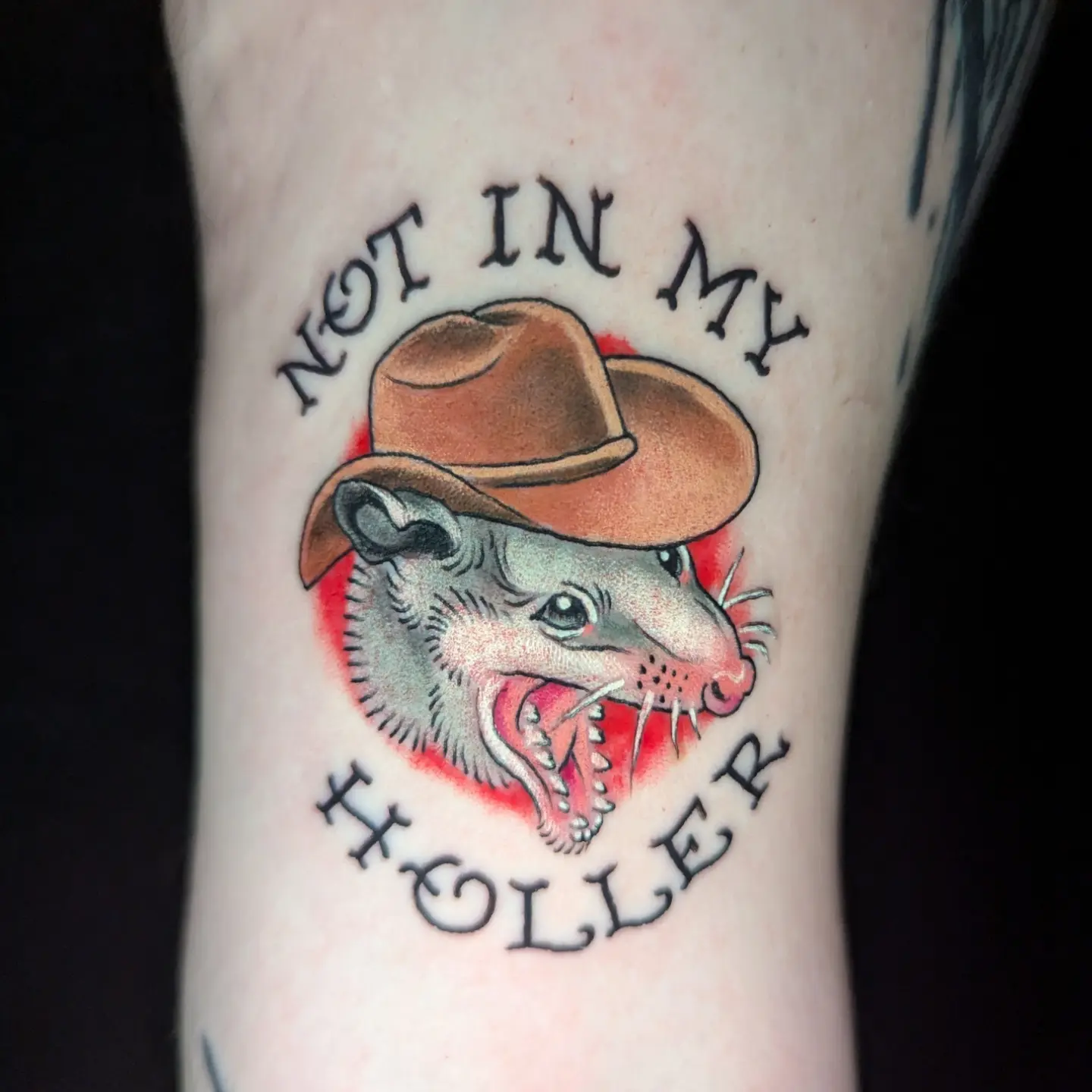 Possum wearing cowboy hat American traditional tattoo on the forearm by Devon Greig