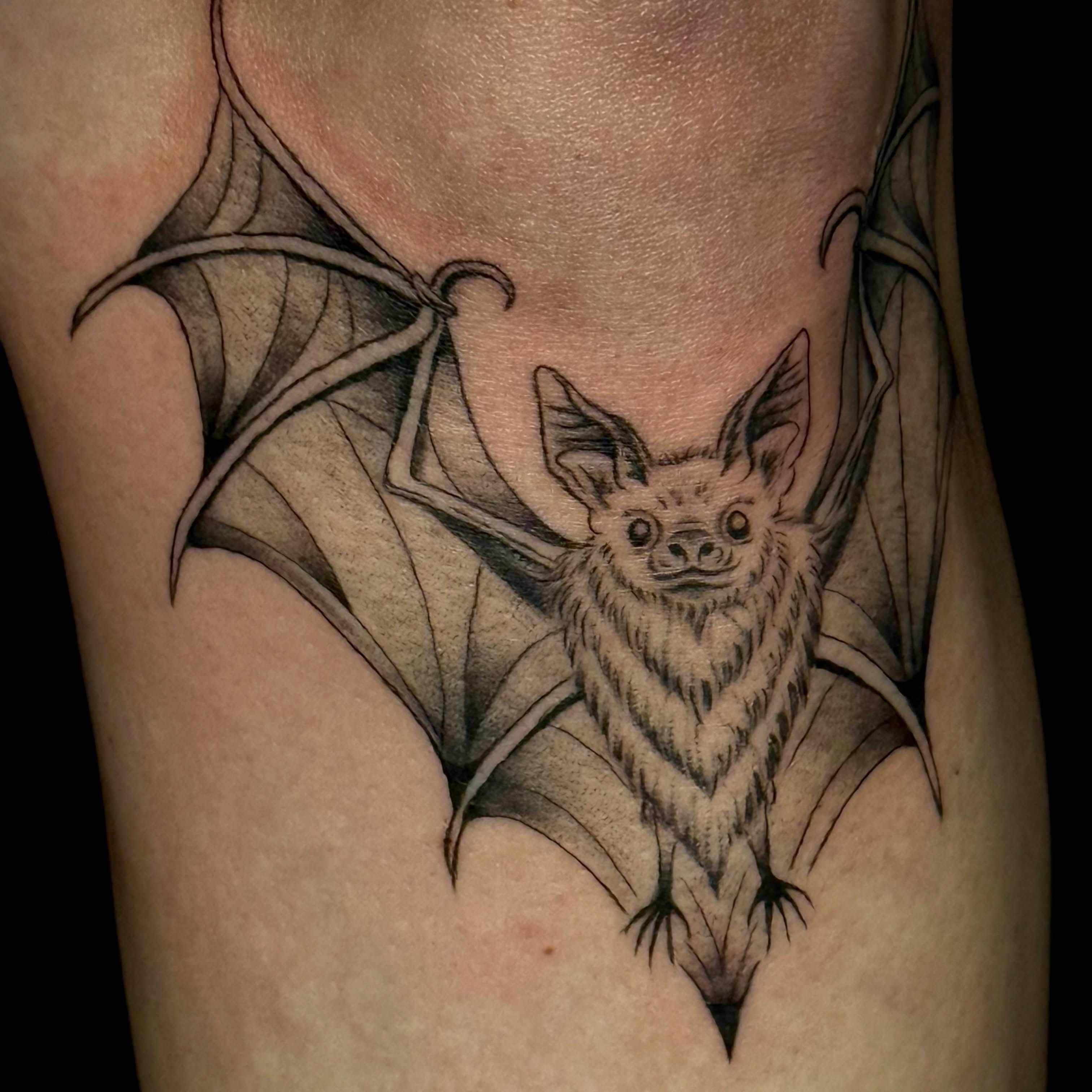 Bat black and grey tattoo on the forearm by ๐๐ญ๐ฆ๐จ๐ณ๐ข โ๐๐ฆ๐จโ ๐ฆต