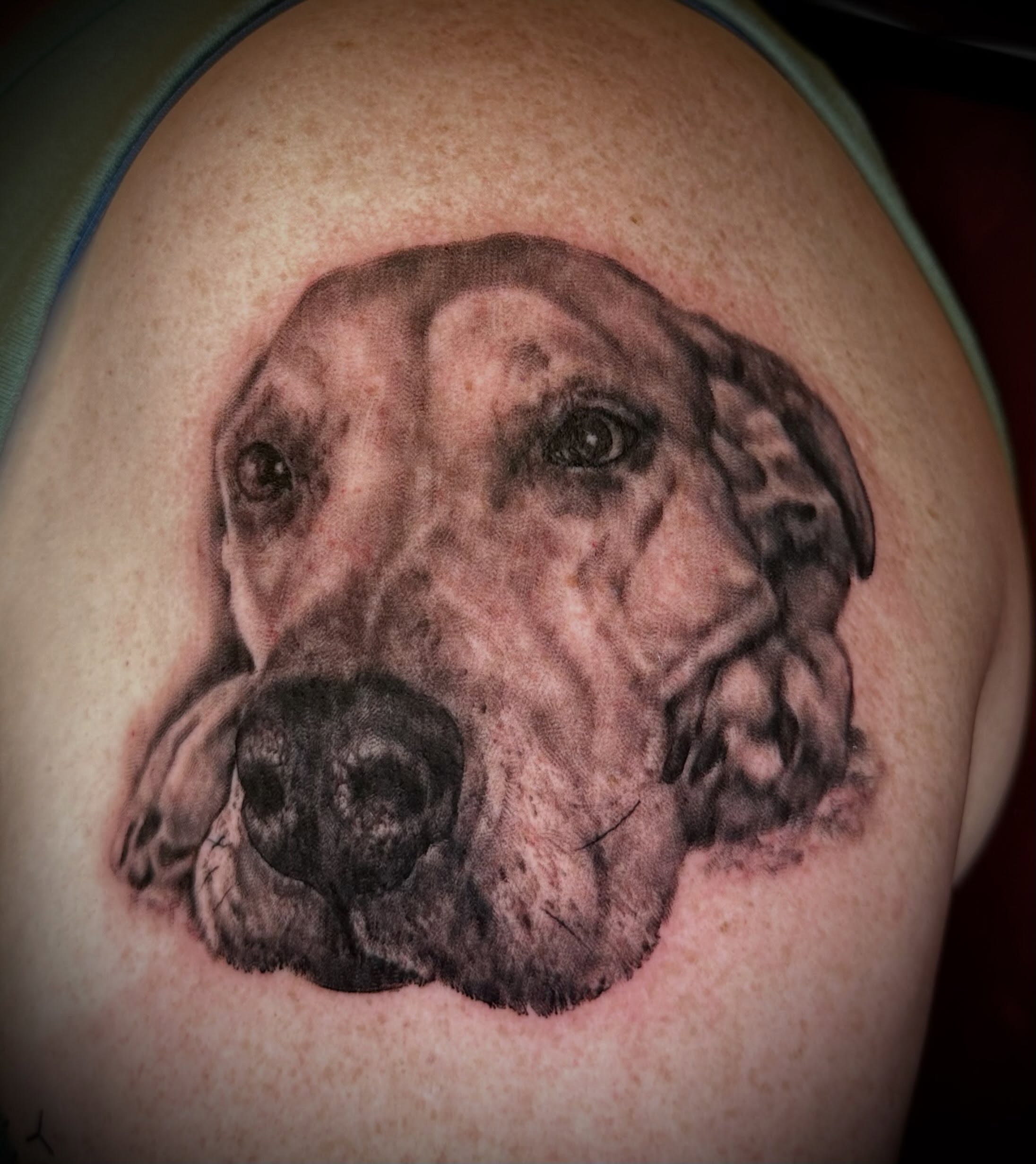 Tattoo by @justalantattoos — realism