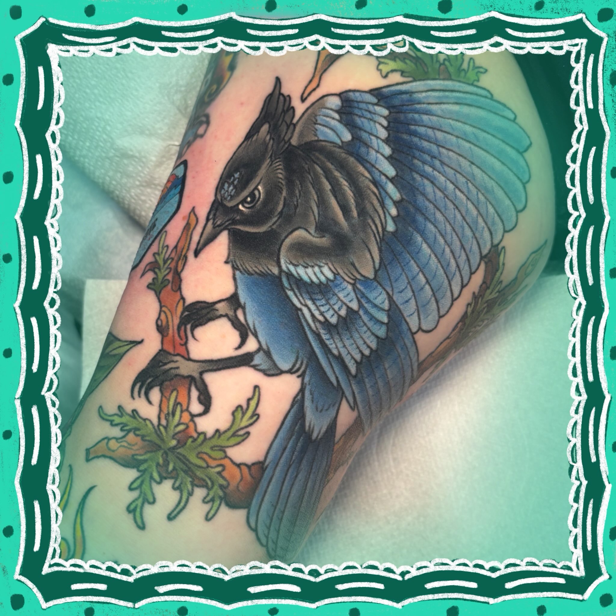 Blue jay American traditional tattoo on the forearm by ✨REiD✨