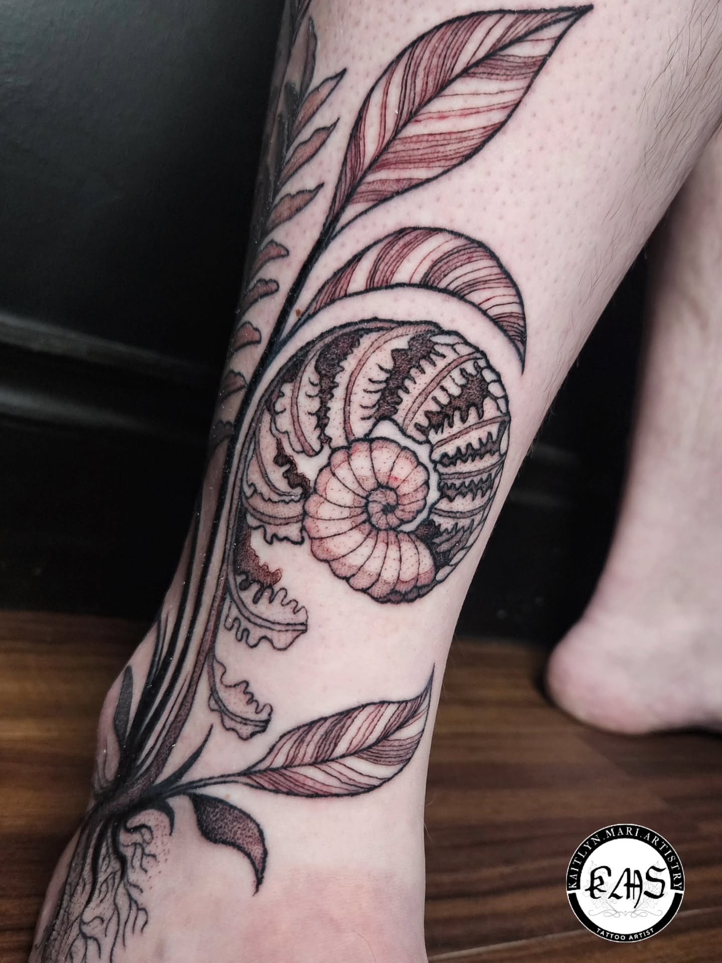 Nautilus shell black and grey tattoo on the forearm by Kaitlyn Marianna Skewes 🌙 Illustrative