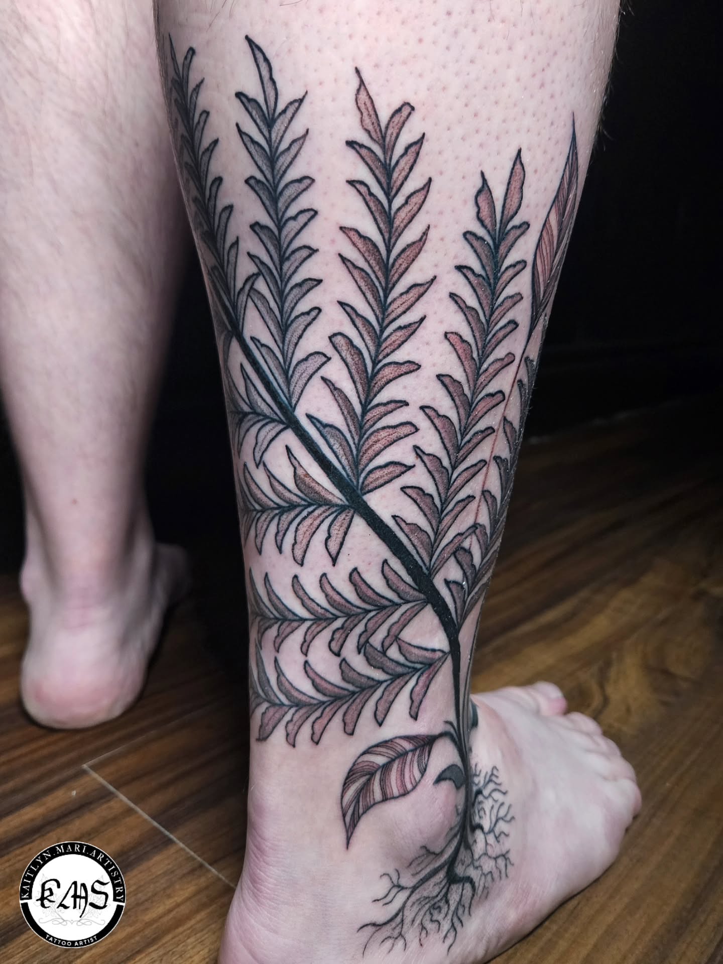 Fern black and grey tattoo on the calf by Kaitlyn Marianna Skewes 🌙 Illustrative