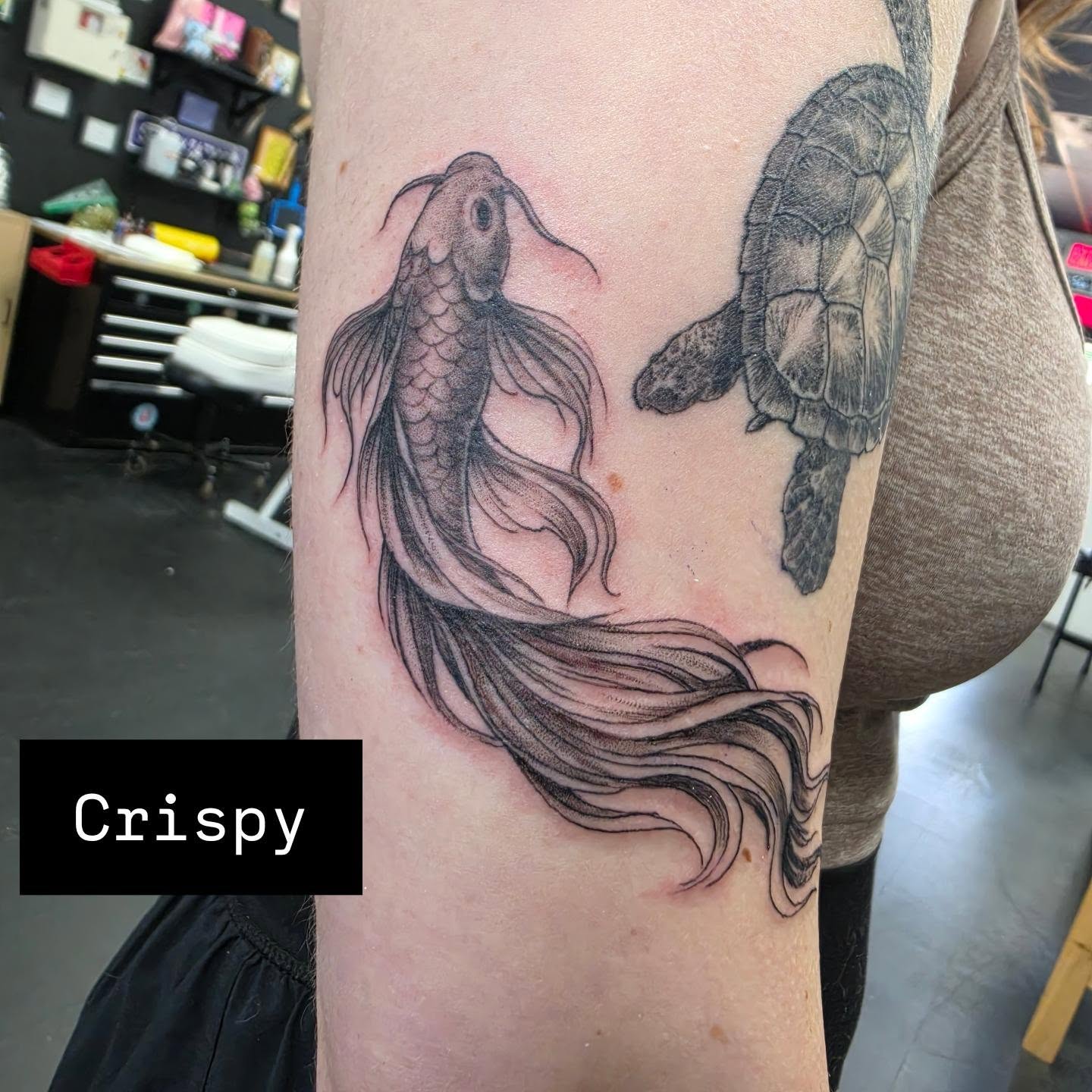 Koi fish and turtle black and grey tattoo on the forearm by Robert Glover