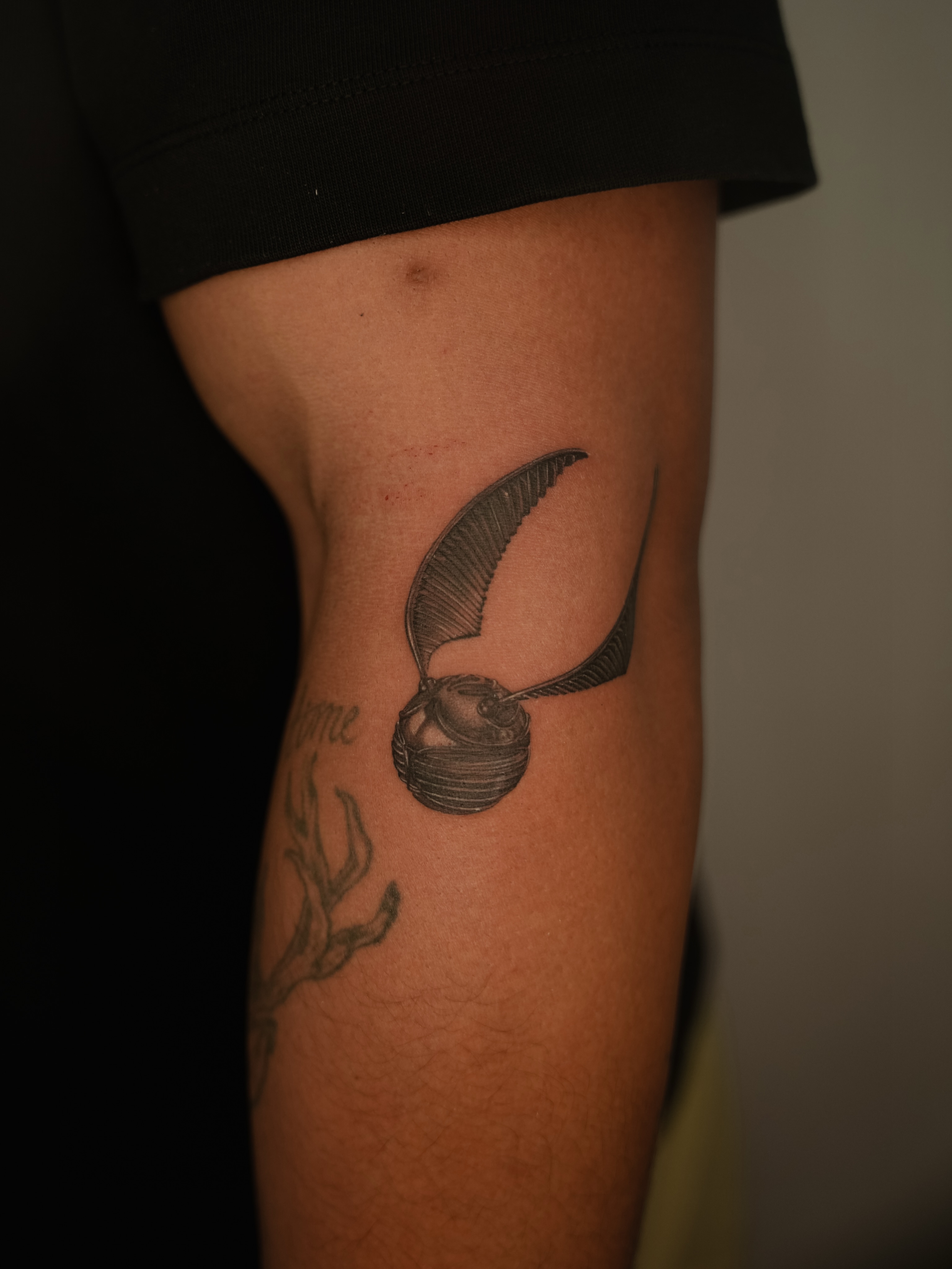 Golden snitch black and grey tattoo on the forearm by Laura Gomez Tattoos