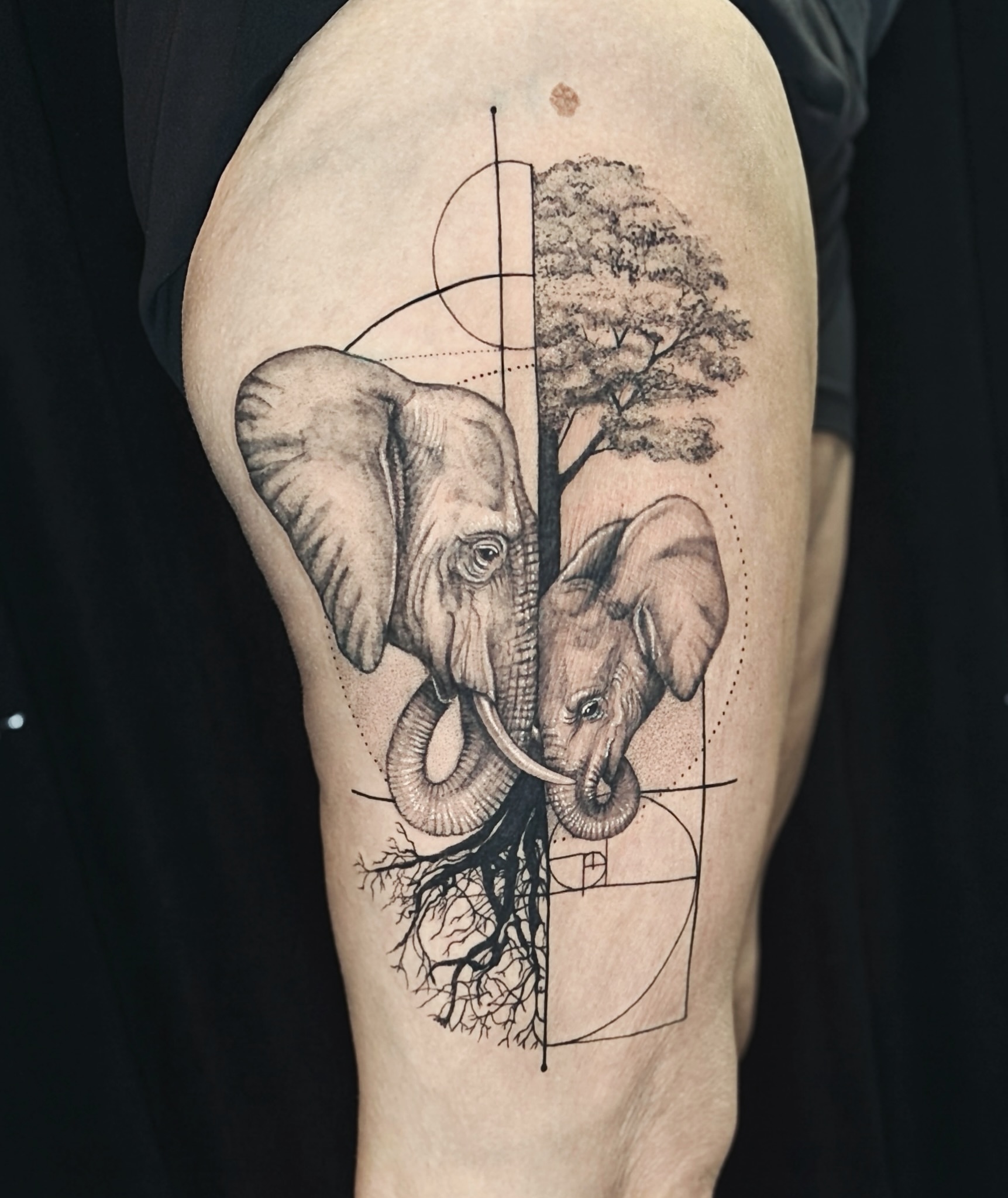 Tattoo by @ajollytattoo — geometric, realism