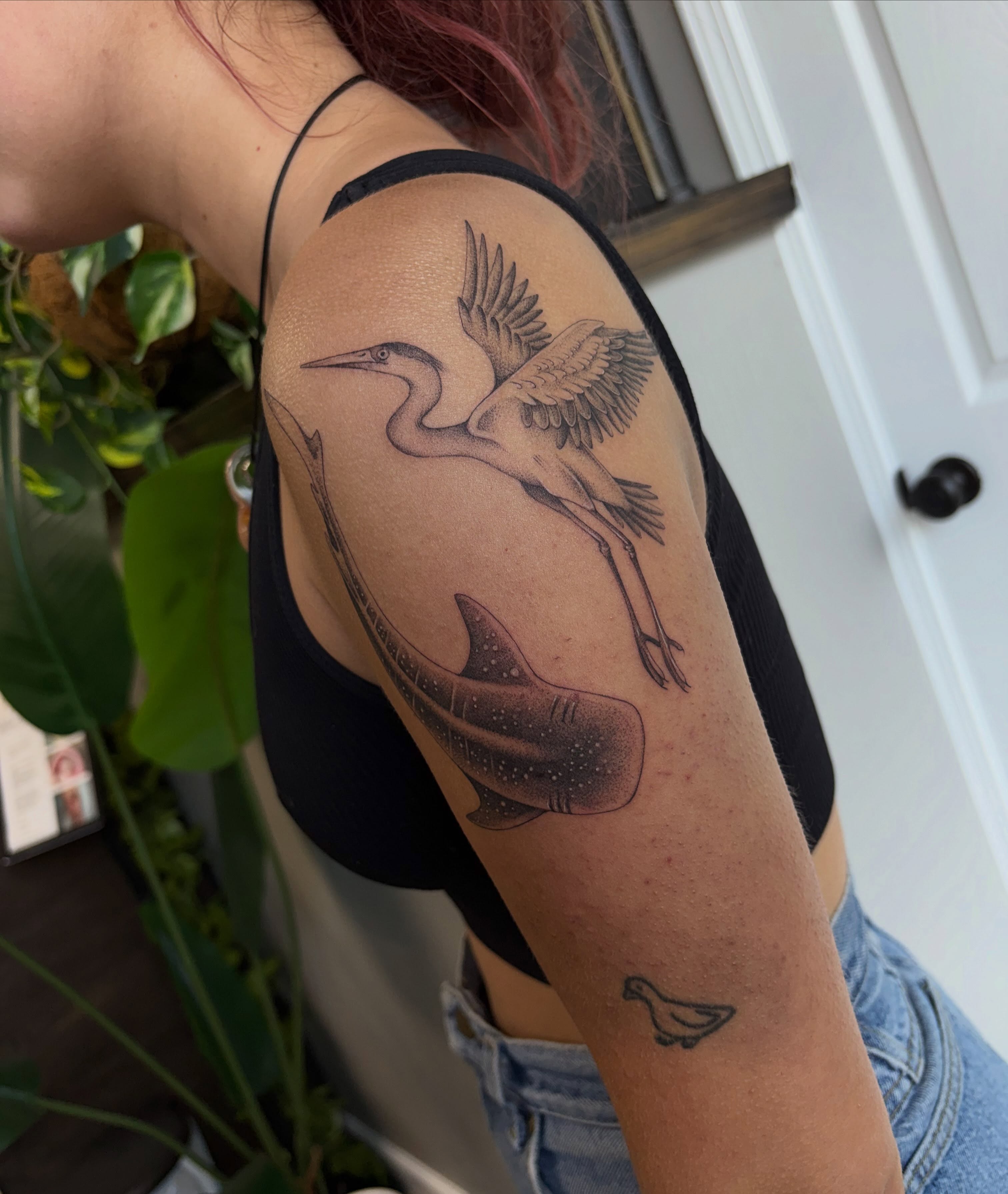 Tattoo by Hailey Nicole, Avon Lake, OH