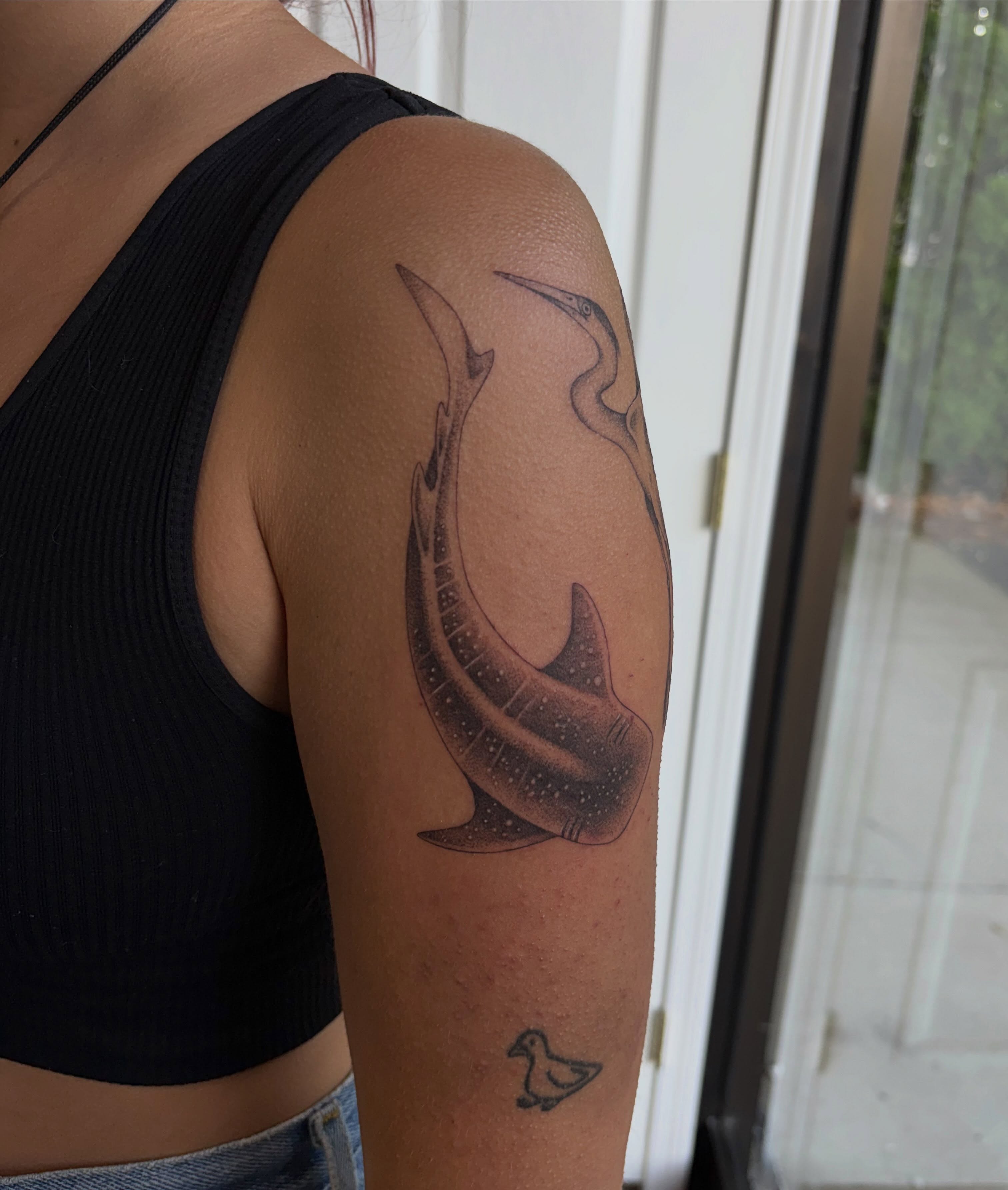 Shark dotwork tattoo on the upper arm by Hailey Nicole