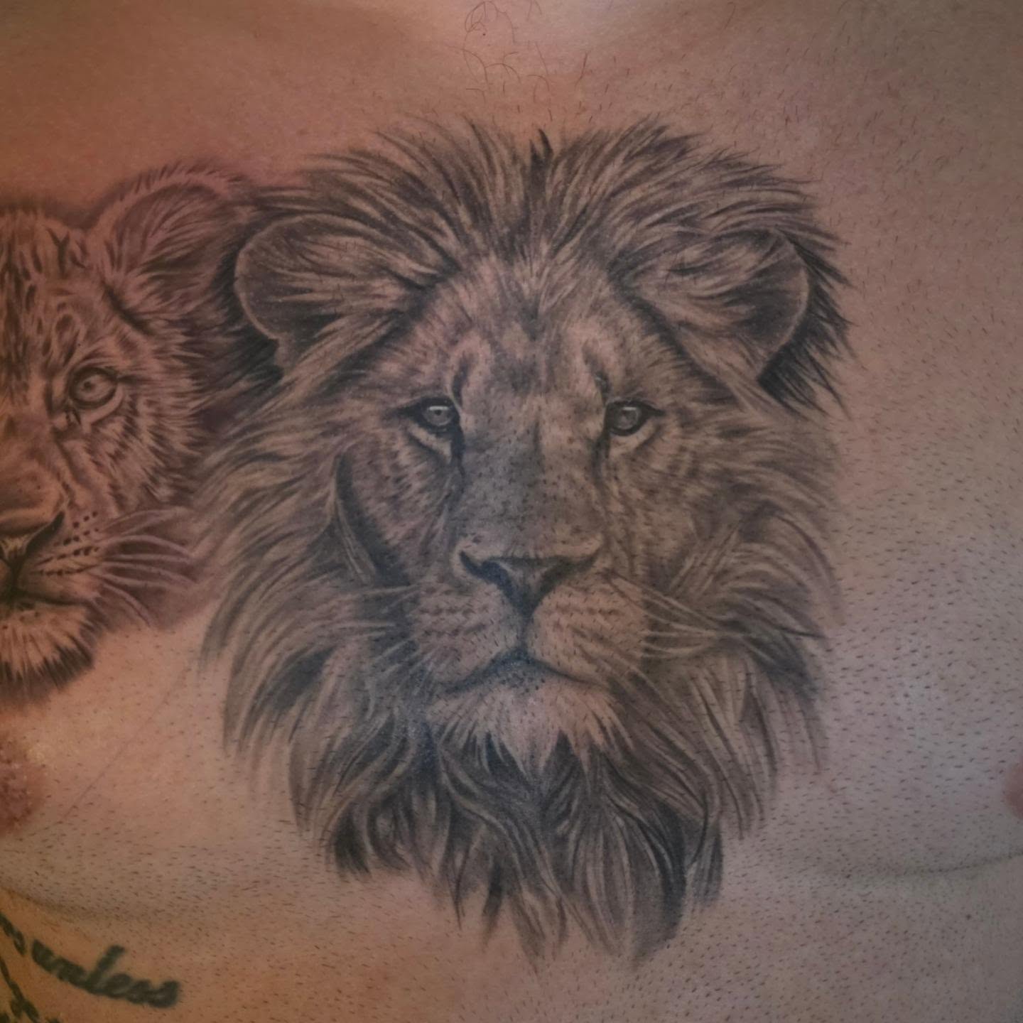 Tattoo by @_kosta_o — dotwork, realism