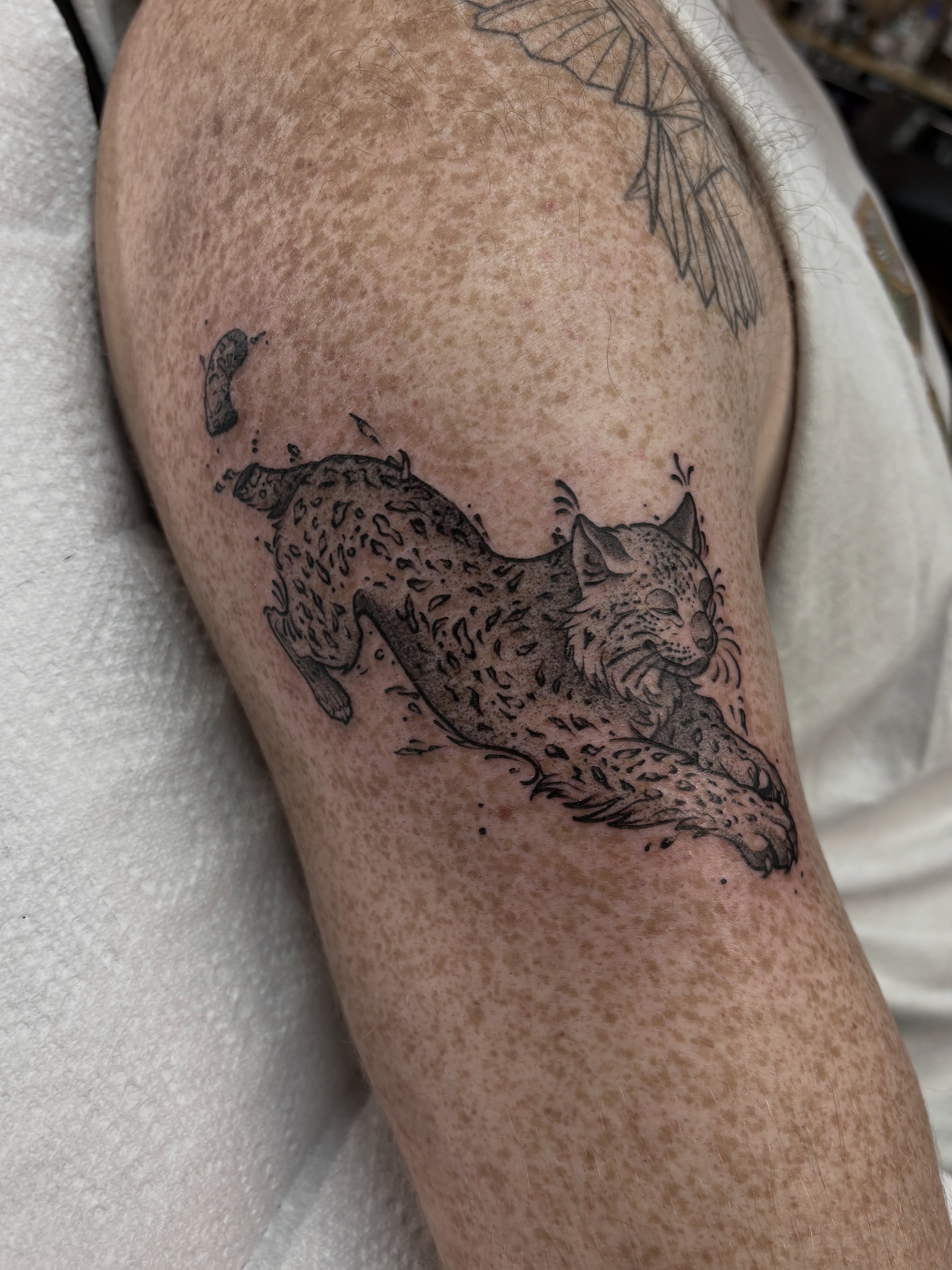 Leopard black and grey tattoo on the forearm by Genevieve Ehlers, Denver, Colorado