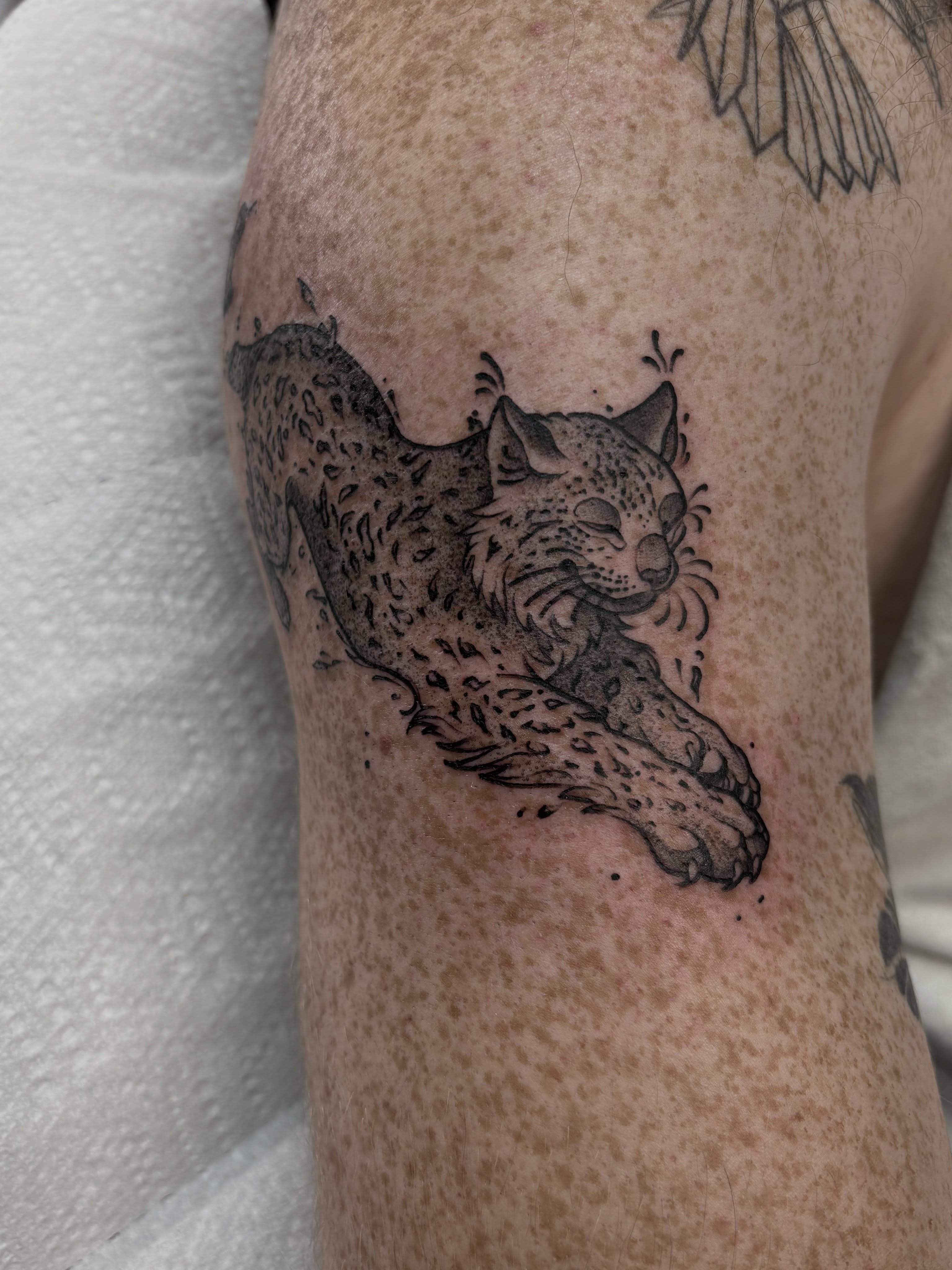 Tattoo by @genevieveink — black_and_grey