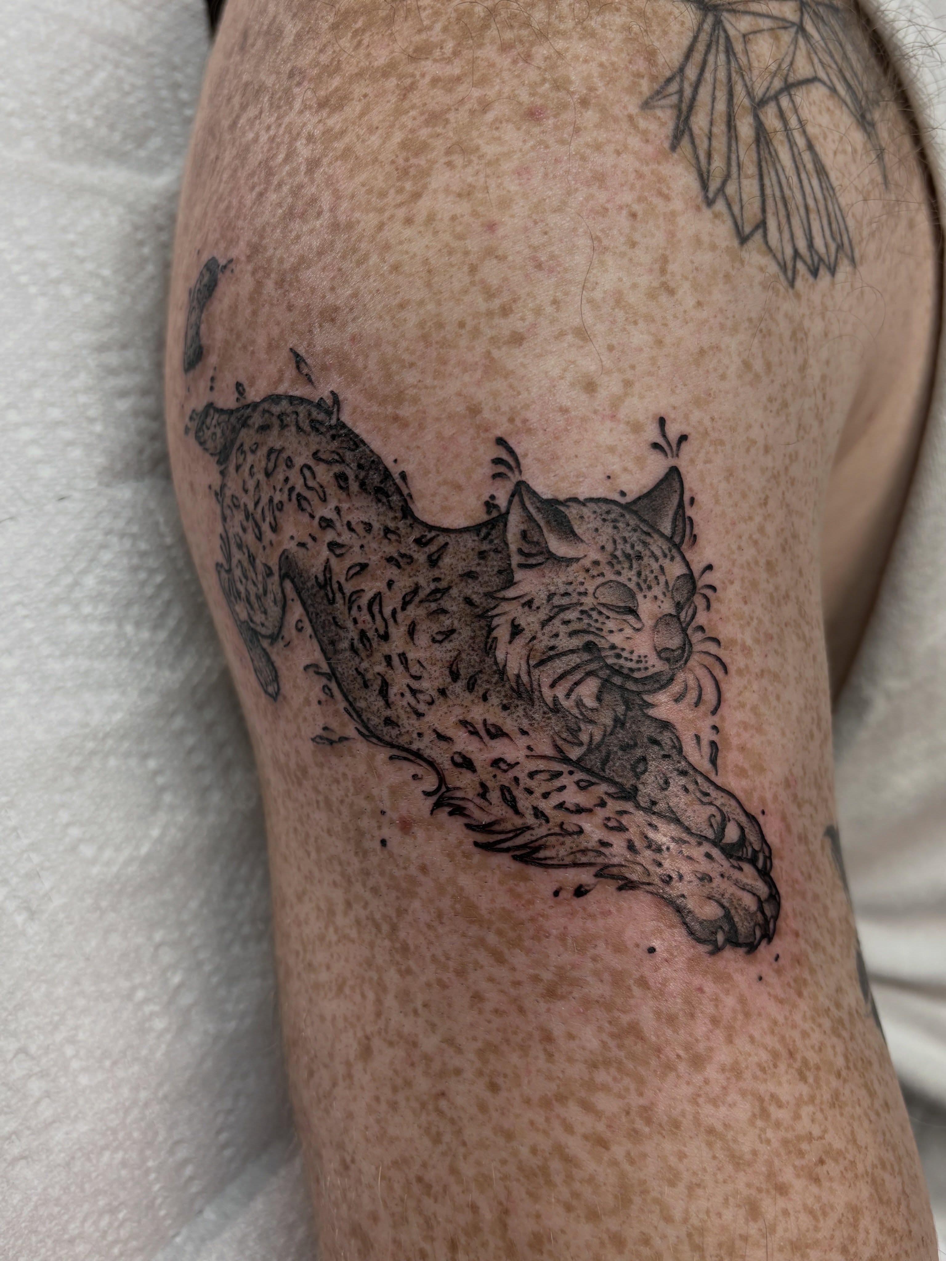 Tattoo by @genevieveink — black_and_grey